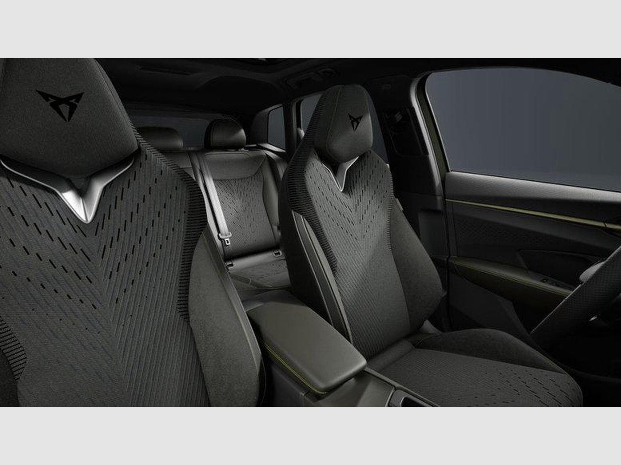 Cupra Terramar VZ Tribe Edition 2.0 TSI 7-Gang-DSG 4Drive (2026) - Photo 5