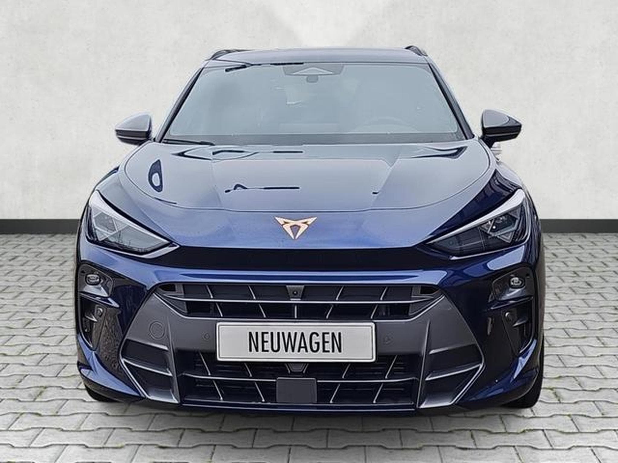 Cupra Terramar 1.5 eTSI 110 kW (2025) - Photo 2