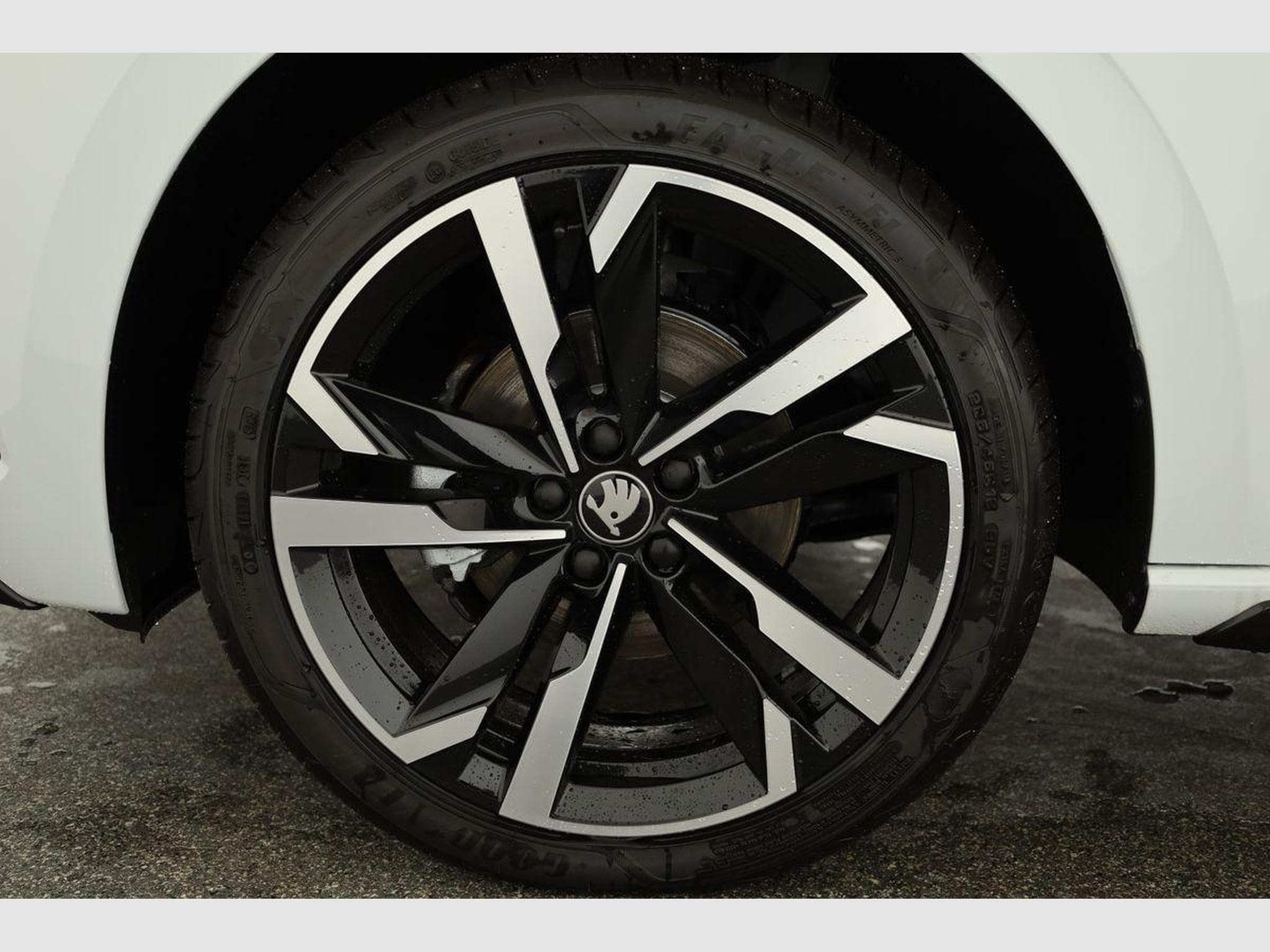 Skoda Scala Monte Carlo (2026) - Photo 16