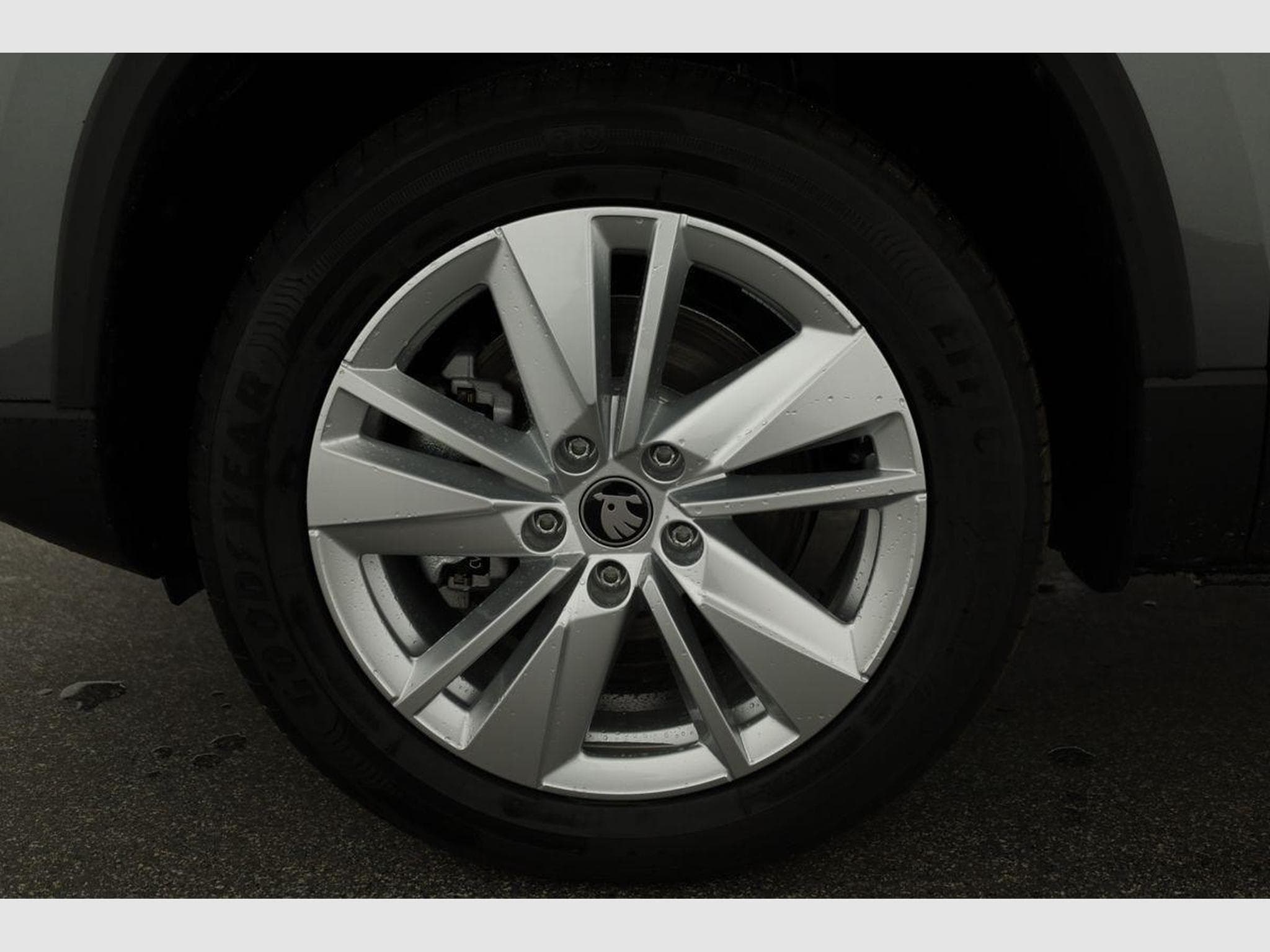 Skoda Karoq Selection (2026) - Photo 15