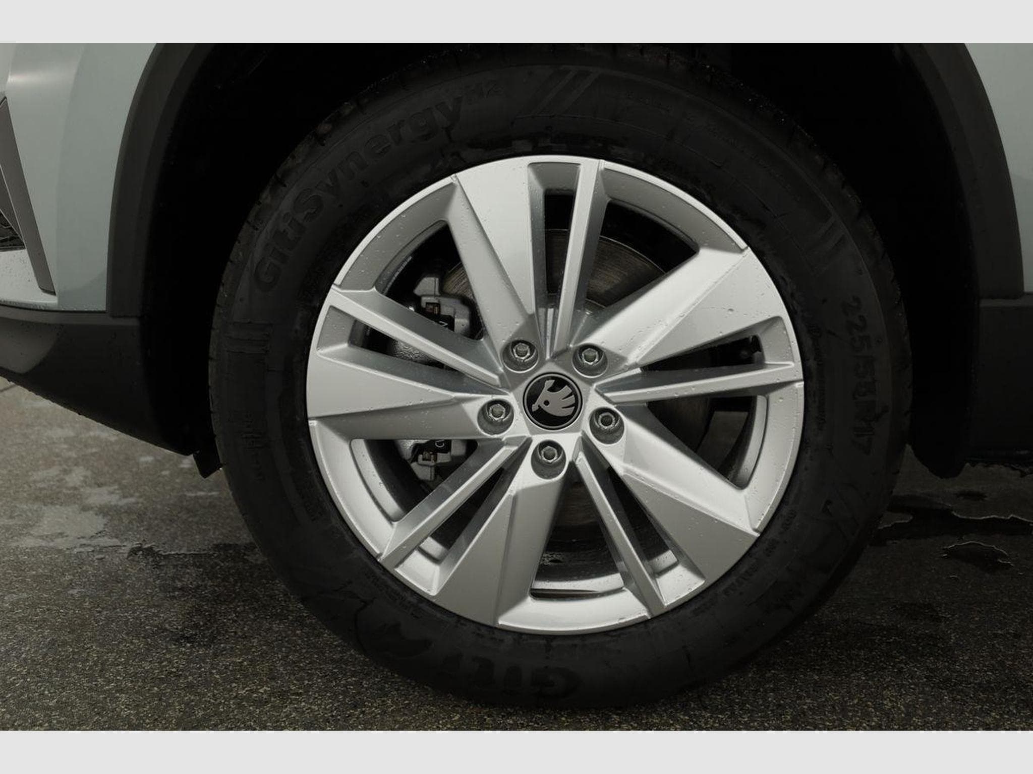 Skoda Karoq Selection (2026) - Photo 16