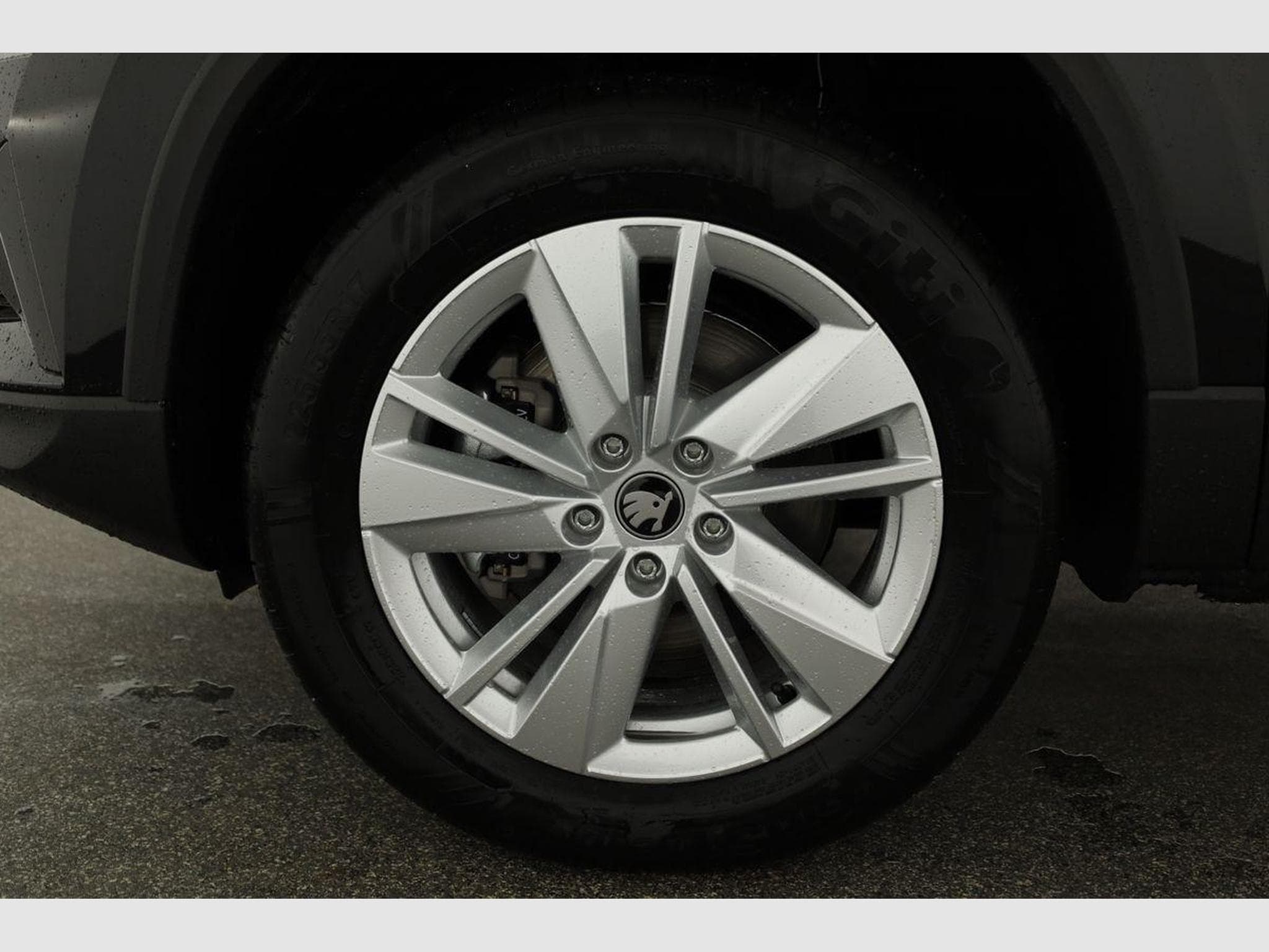 Skoda Karoq Selection 4x4 (2026) - Photo 16