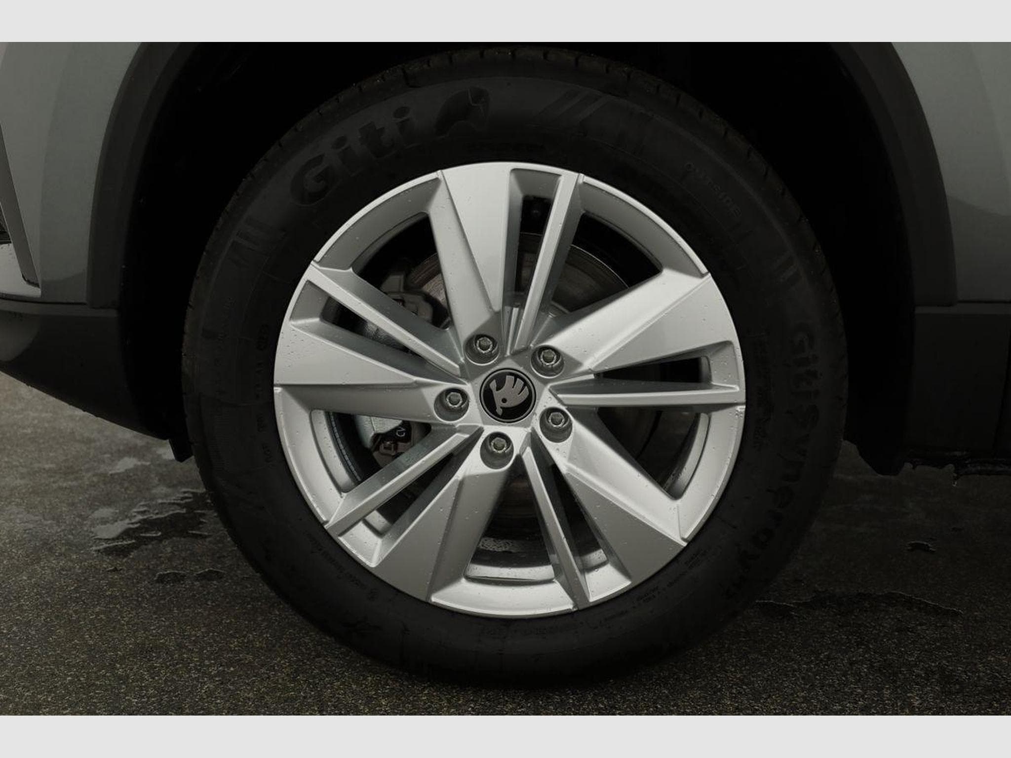 Skoda Karoq Selection 4x4 (2026) - Photo 15