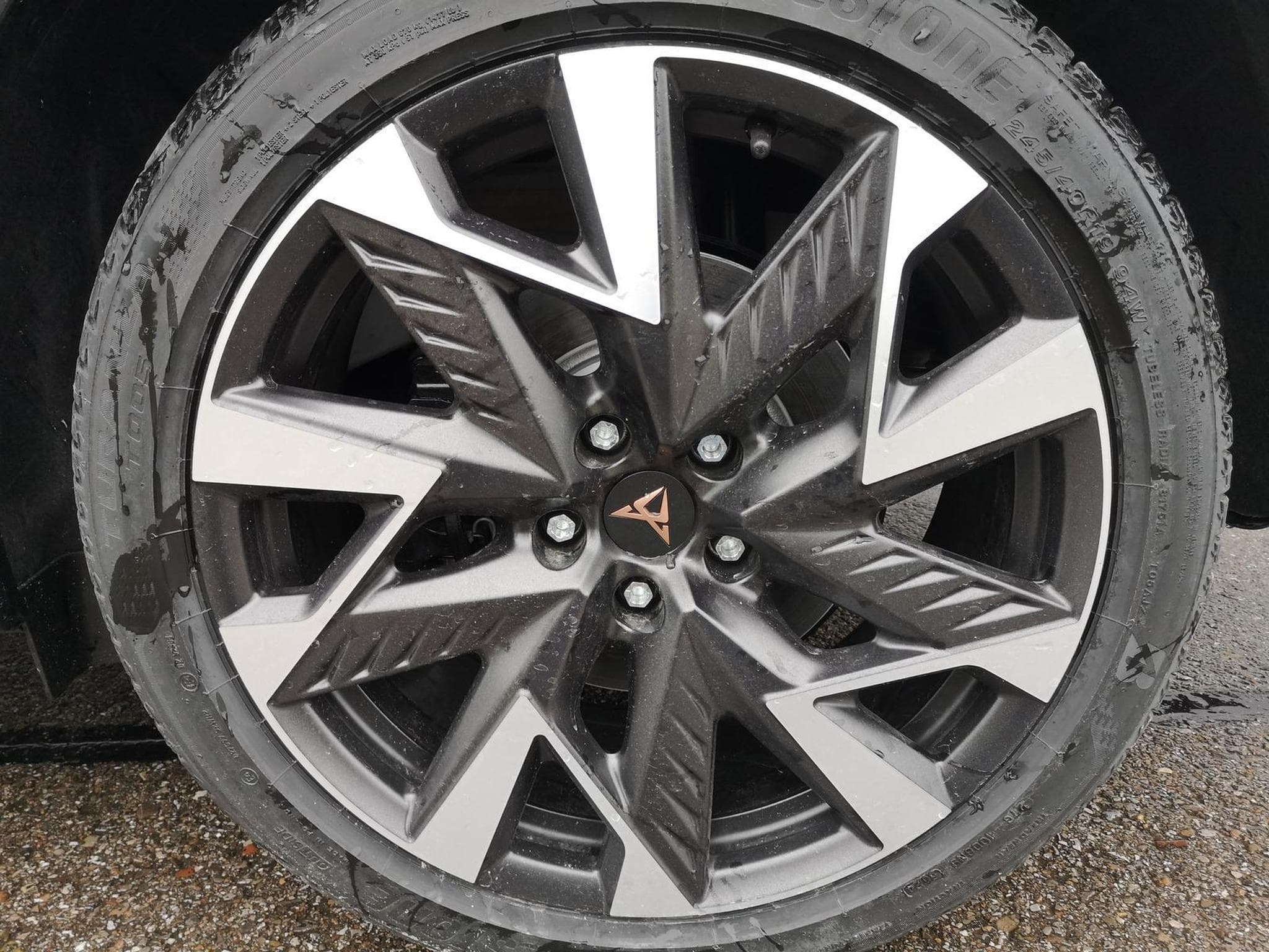 Cupra Formentor VZ 2.0 TSI 245 kW 4Drive (2025) - Foto 4