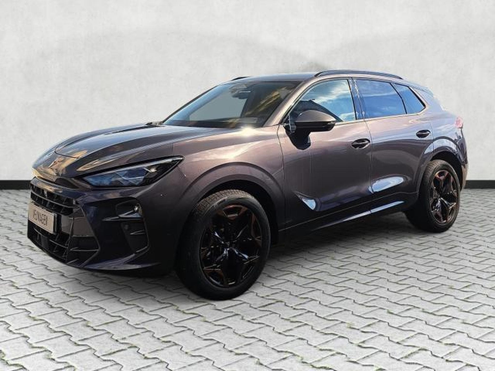 Cupra Terramar 1.5 eTSI 110 kW (2025) - Photo 3