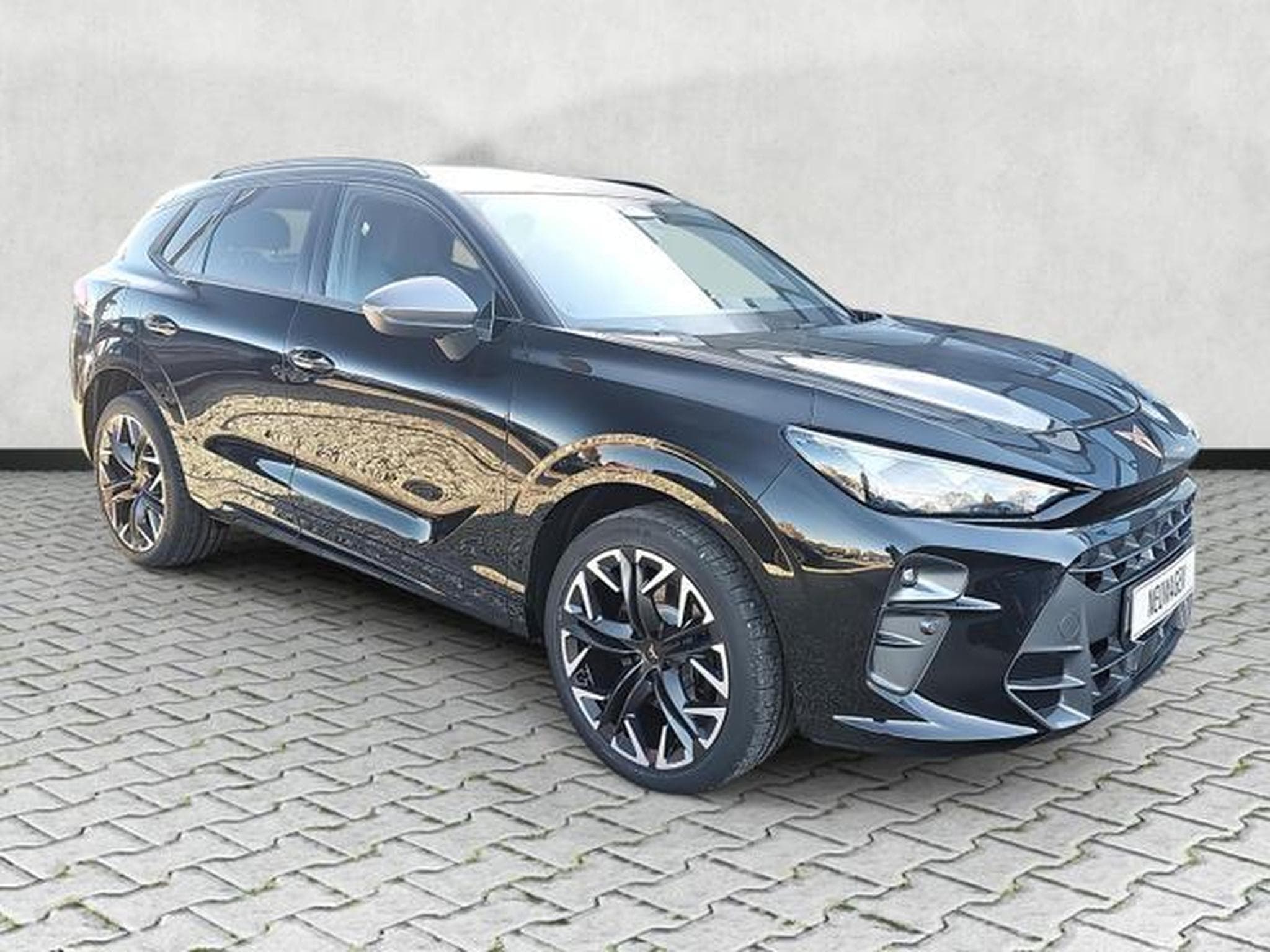 Cupra Terramar 2.0 TSI 195 kW 4Drive VZ (2025) - Photo 1