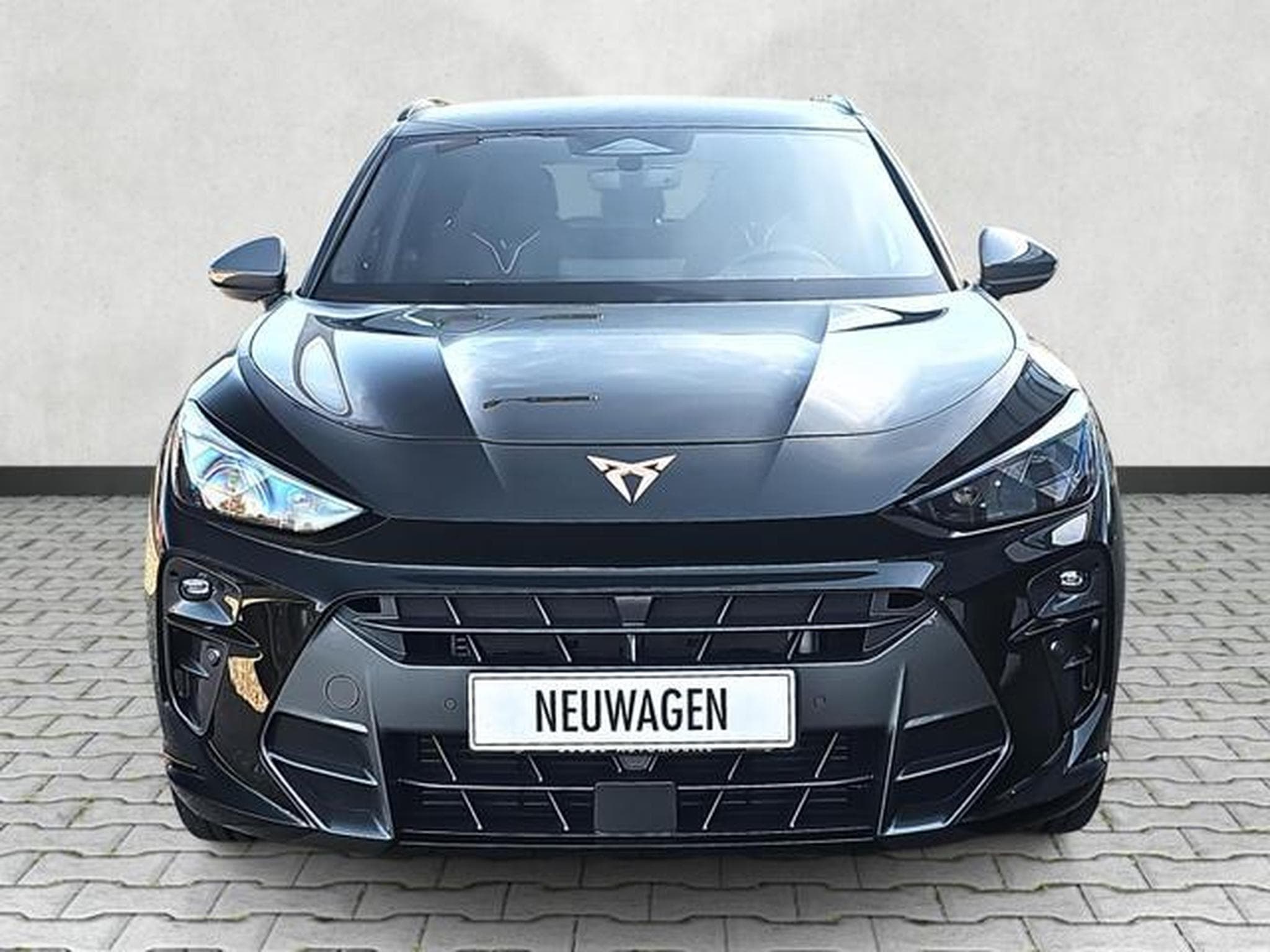 Cupra Terramar 2.0 TSI 195 kW 4Drive VZ (2025) - Photo 2