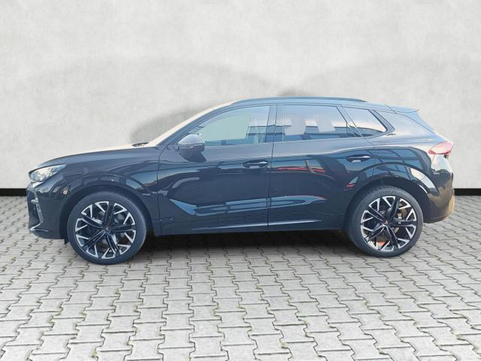 Cupra Terramar 2.0 TSI 195 kW 4Drive VZ (2025) - Photo 4