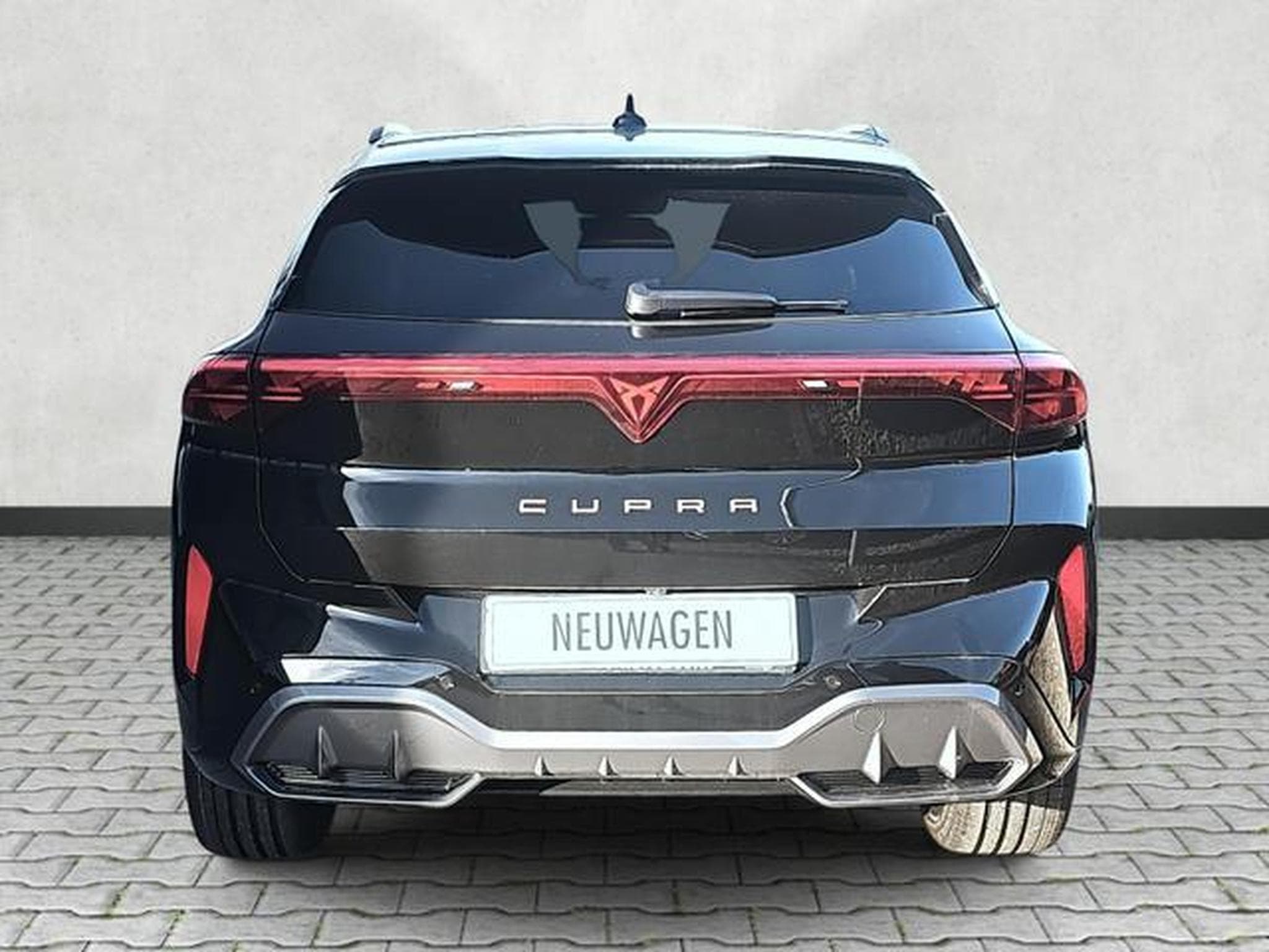 Cupra Terramar 2.0 TSI 195 kW 4Drive VZ (2025) - Photo 6
