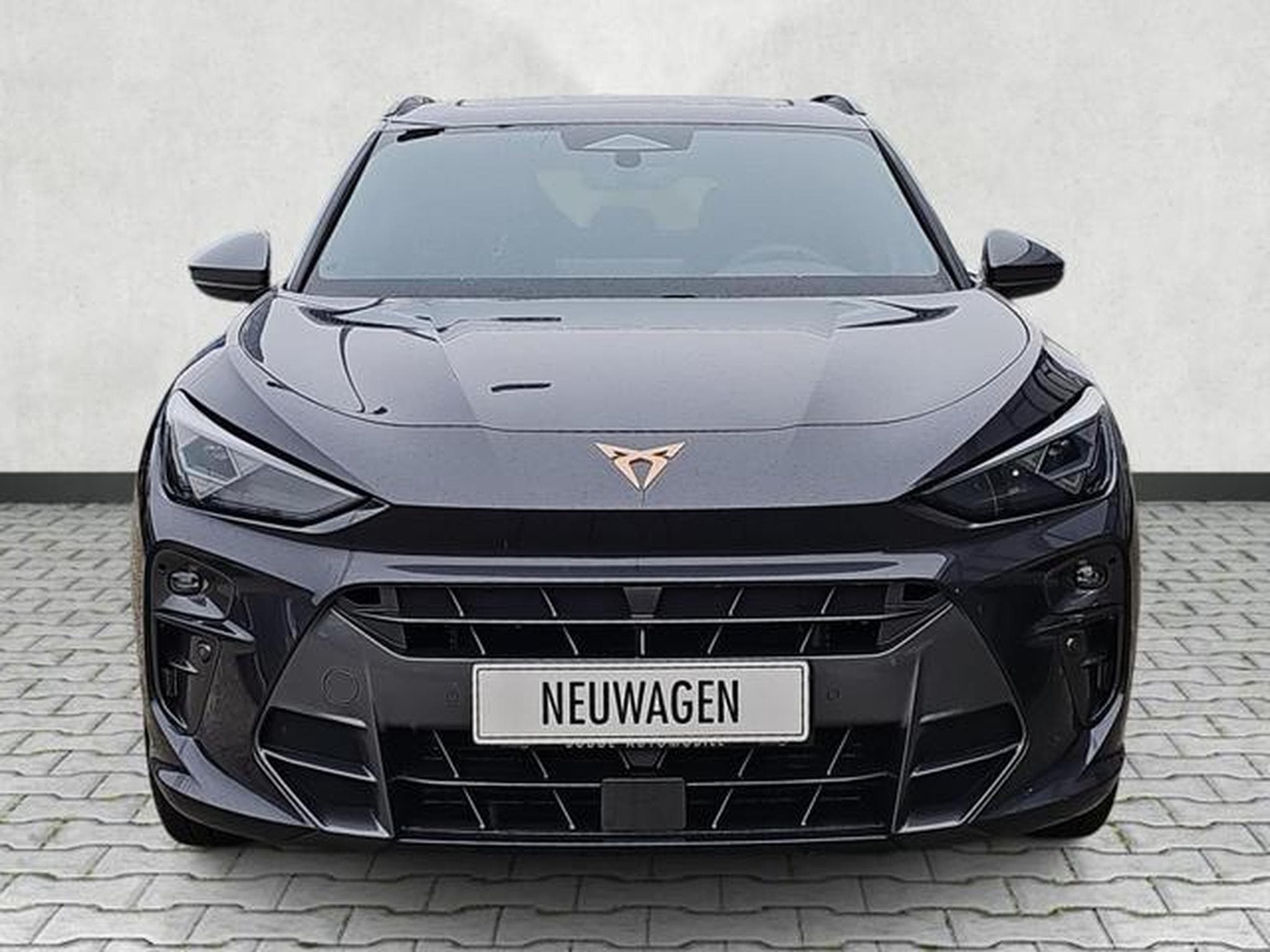 Cupra Terramar 1.5 eTSI 110 kW (2025) - Photo 2