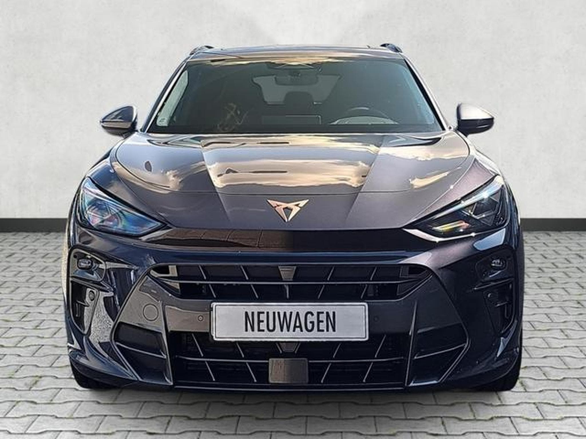 Cupra Terramar 1.5 eTSI 110 kW (2025) - Photo 2