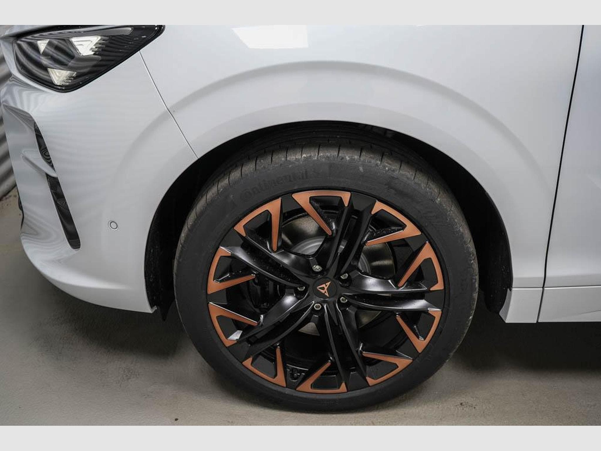 Cupra Terramar 2,0 TSI DSG (2025) - Photo 4