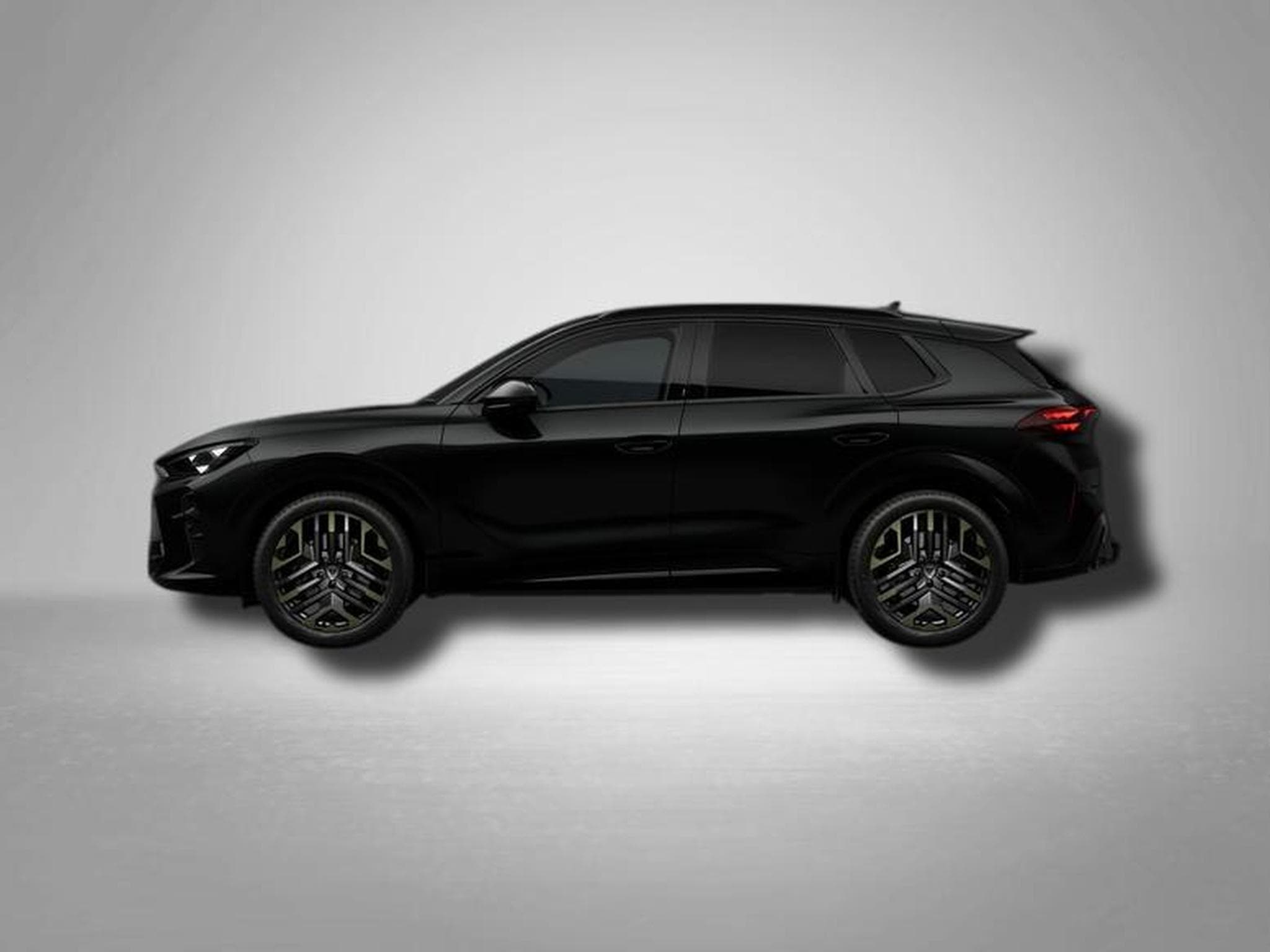 Cupra Terramar VZ Tribe Edition 2.0 TSI 7-Gang-DSG 4Drive (2026) - Photo 2