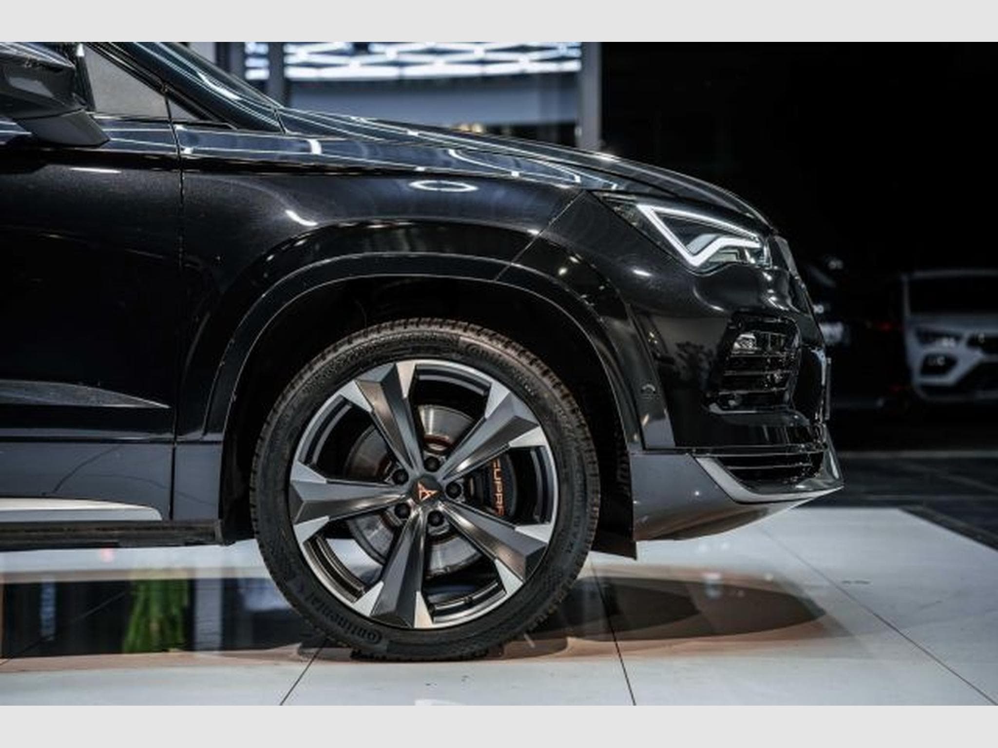 Cupra Ateca Ateca VZ 2.0 TSI DSG 4Drive Beats NAVI RFK LED (2024) - Photo 9