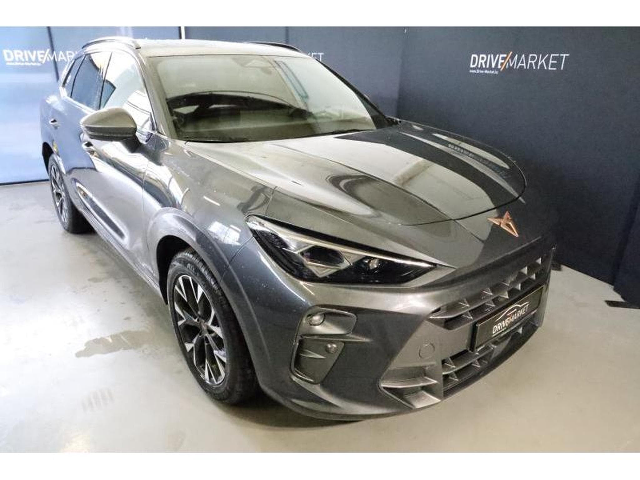 Cupra Terramar (2025) - Foto 12