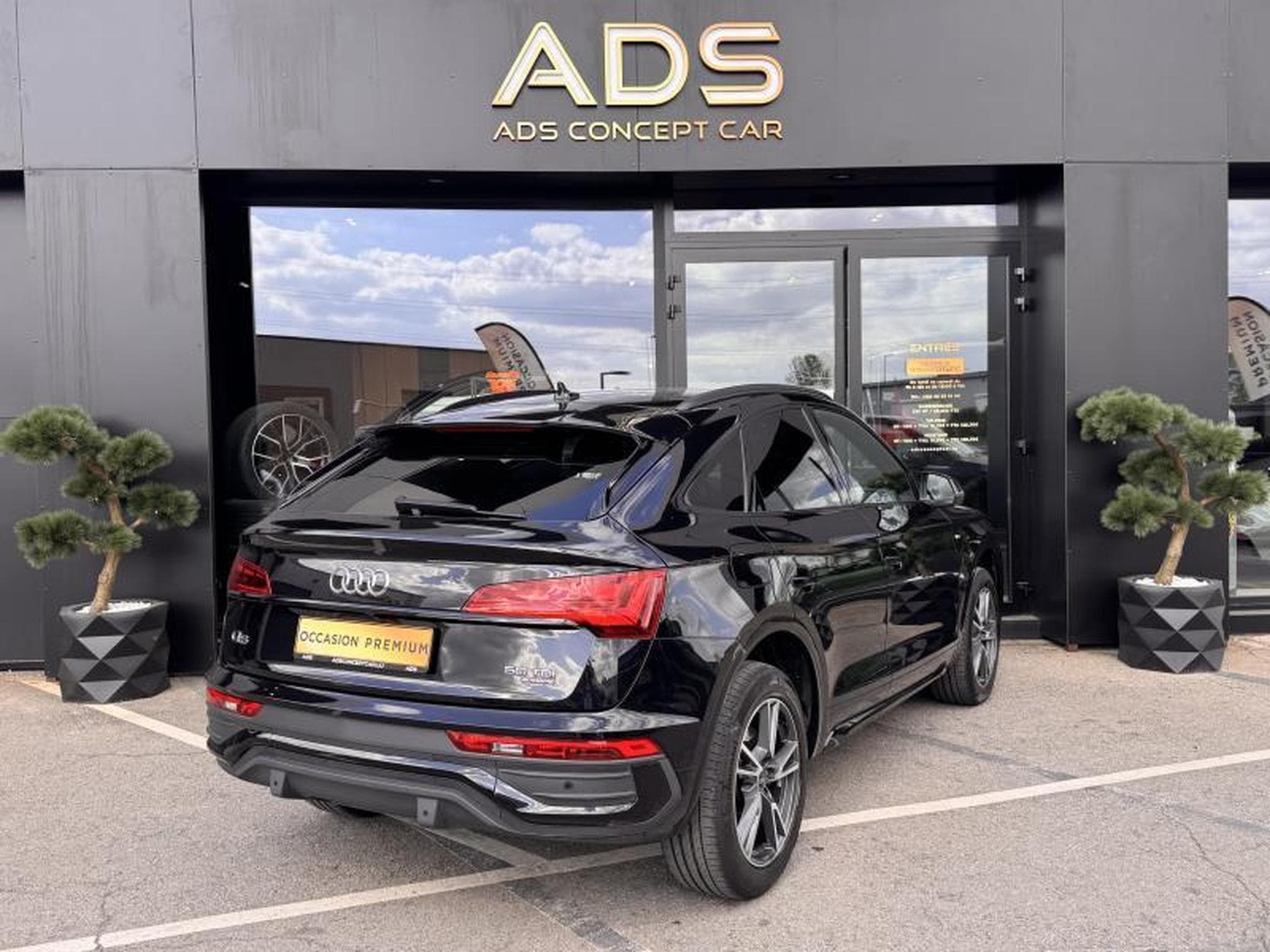 Audi Q5 Sportback S line 3.0 TDI 286CV (2022) - Photo 4