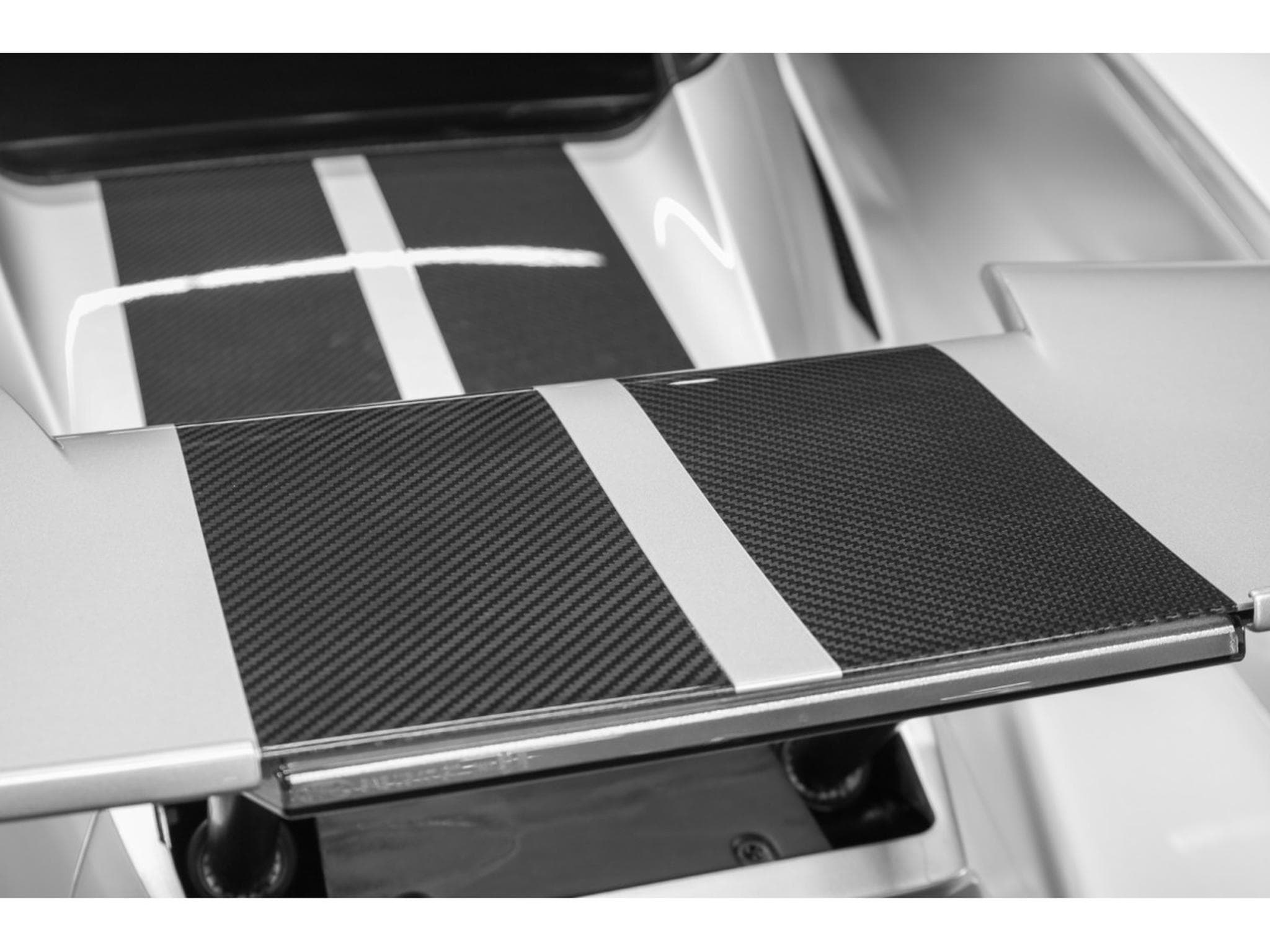 Ford AMG GT Carbon Series - Ingot Silver (2023) - Photo 22