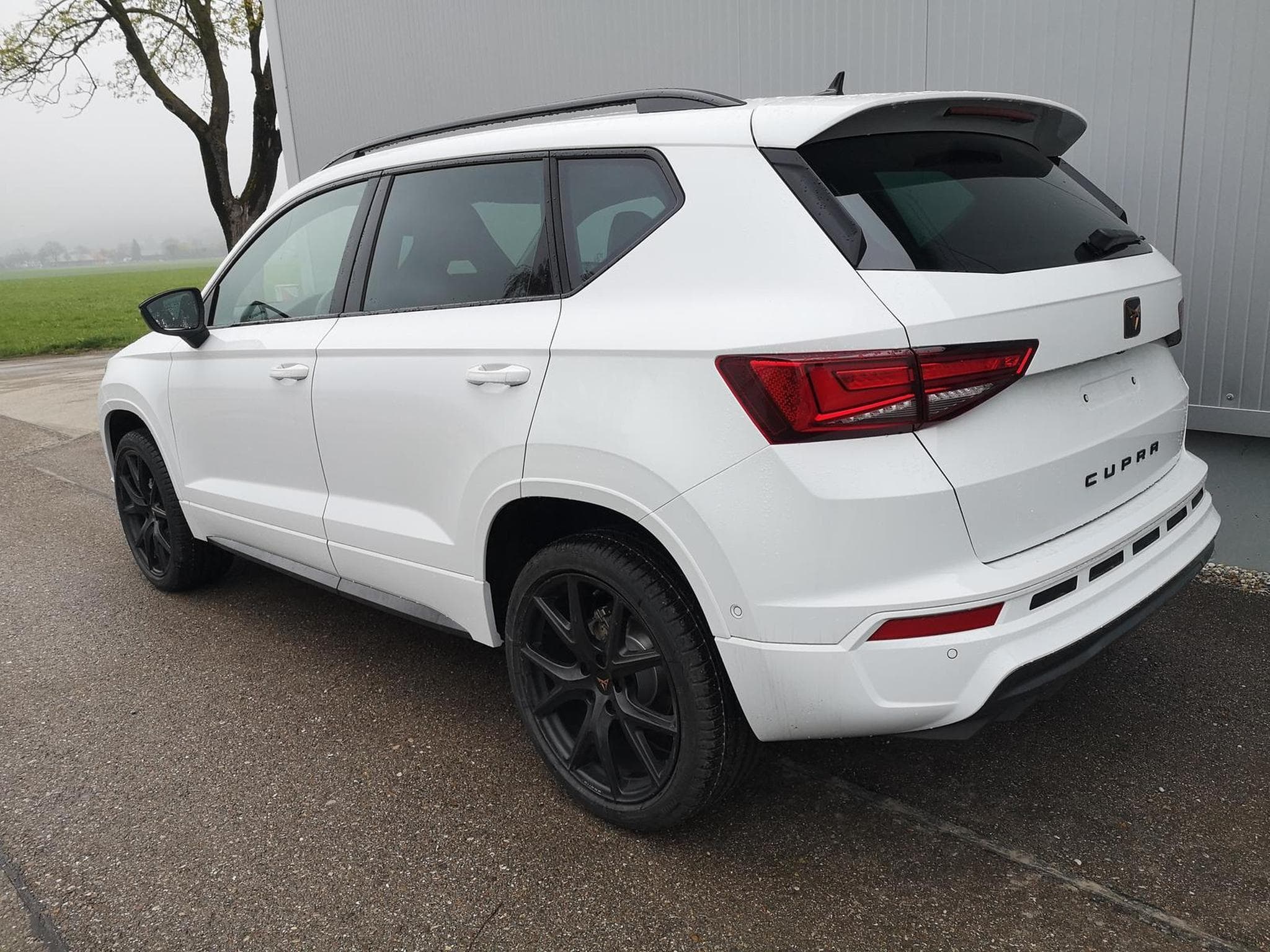 Cupra Ateca 1.5TSI DSG ABT (2026) - Photo 2