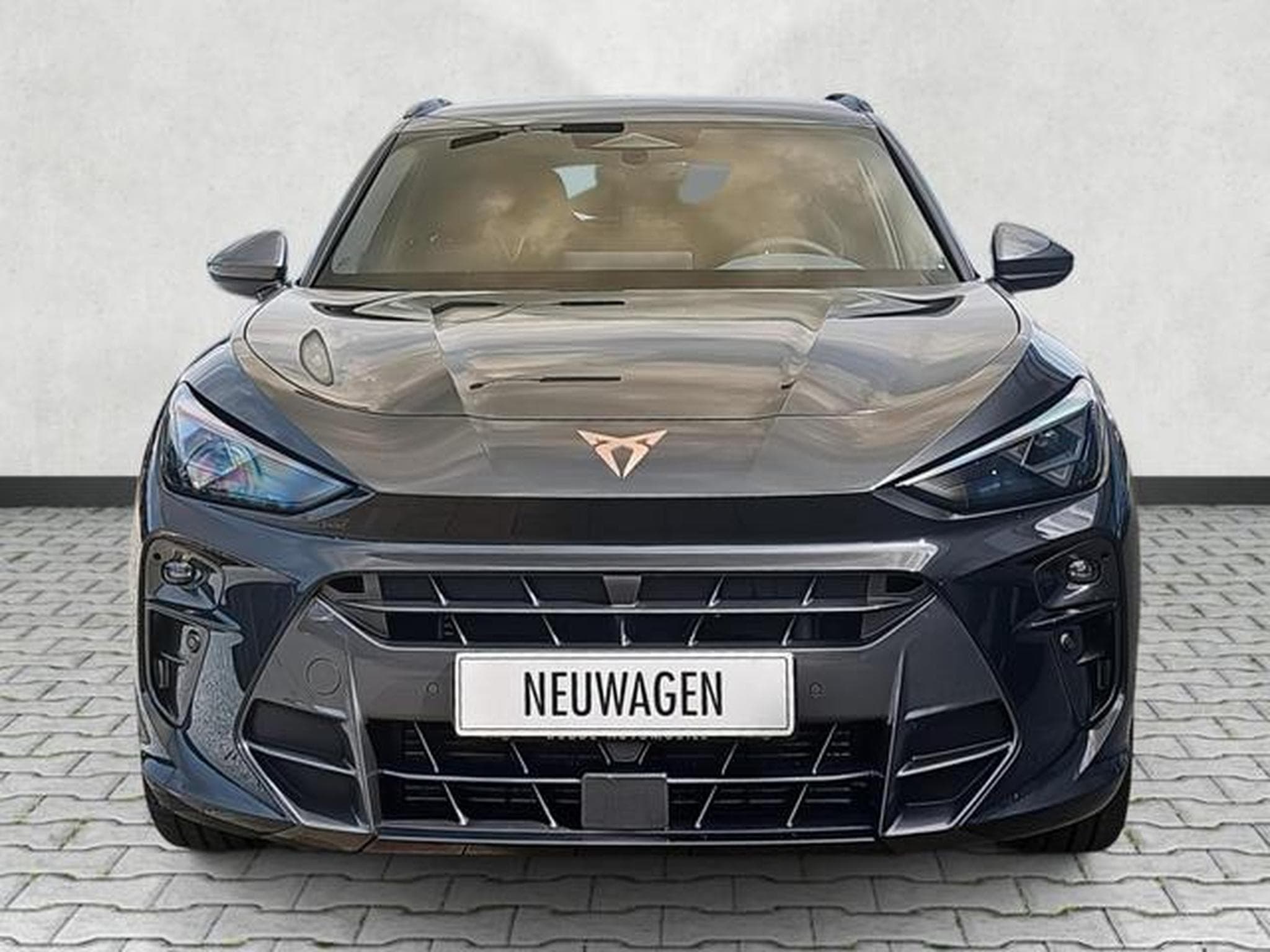 Cupra Terramar 2.0 TSI 195 kW 4Drive VZ (2026) - Photo 2