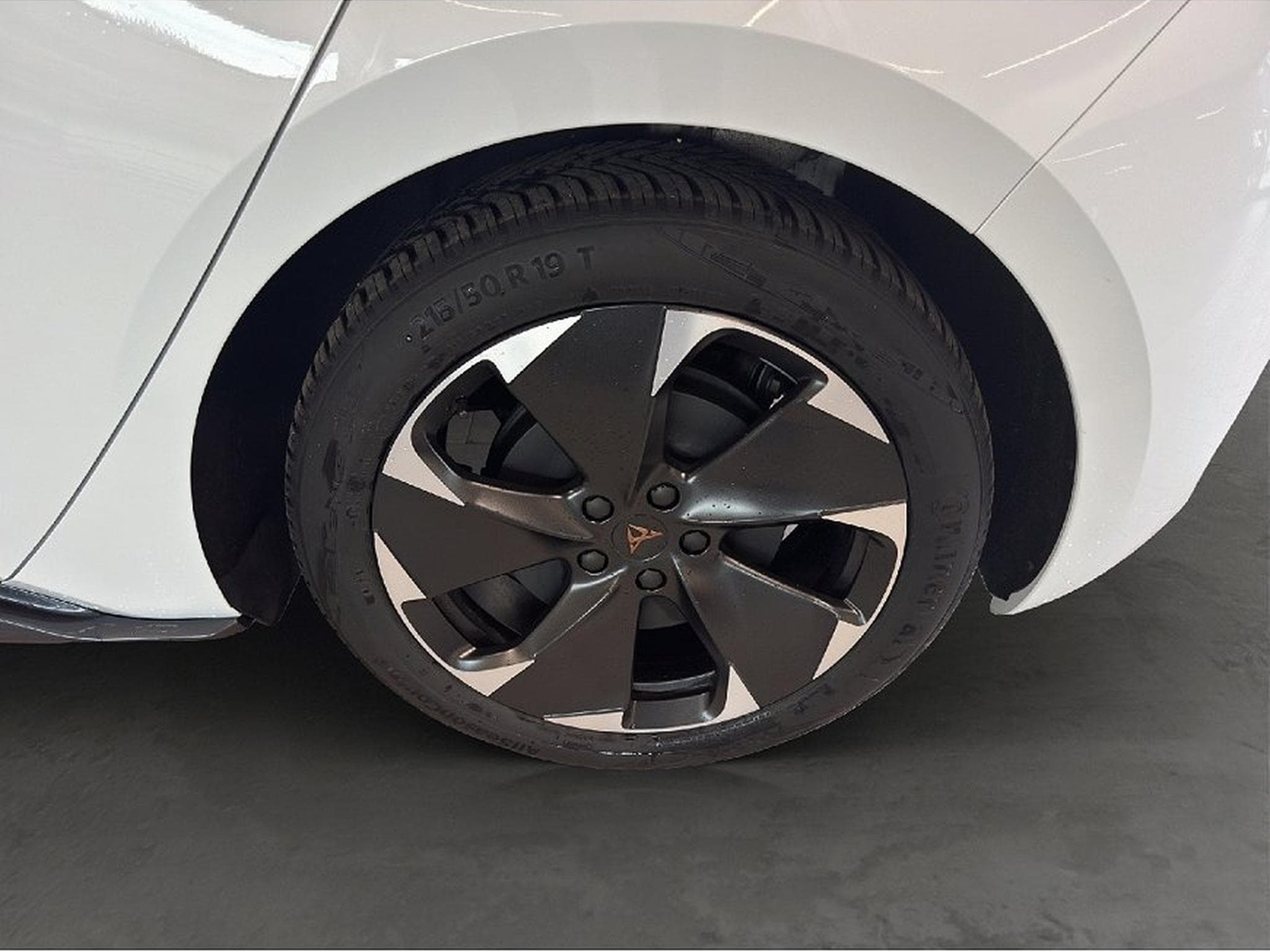 Cupra Born (2025) - Foto 7