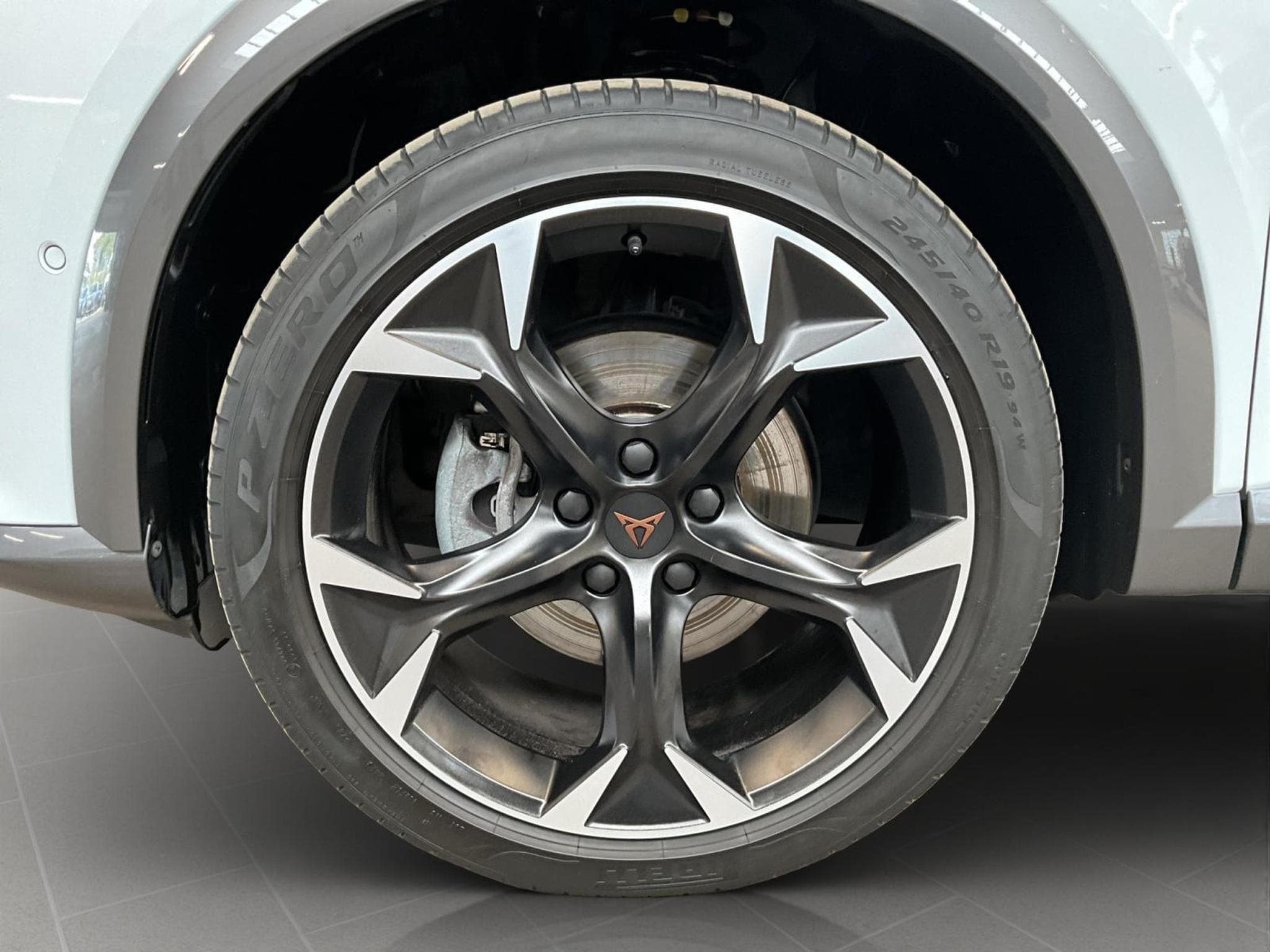 Cupra Formentor DSG+4Drive+RearView+Stand-H.+Matrix-LED (2024) - Photo 8