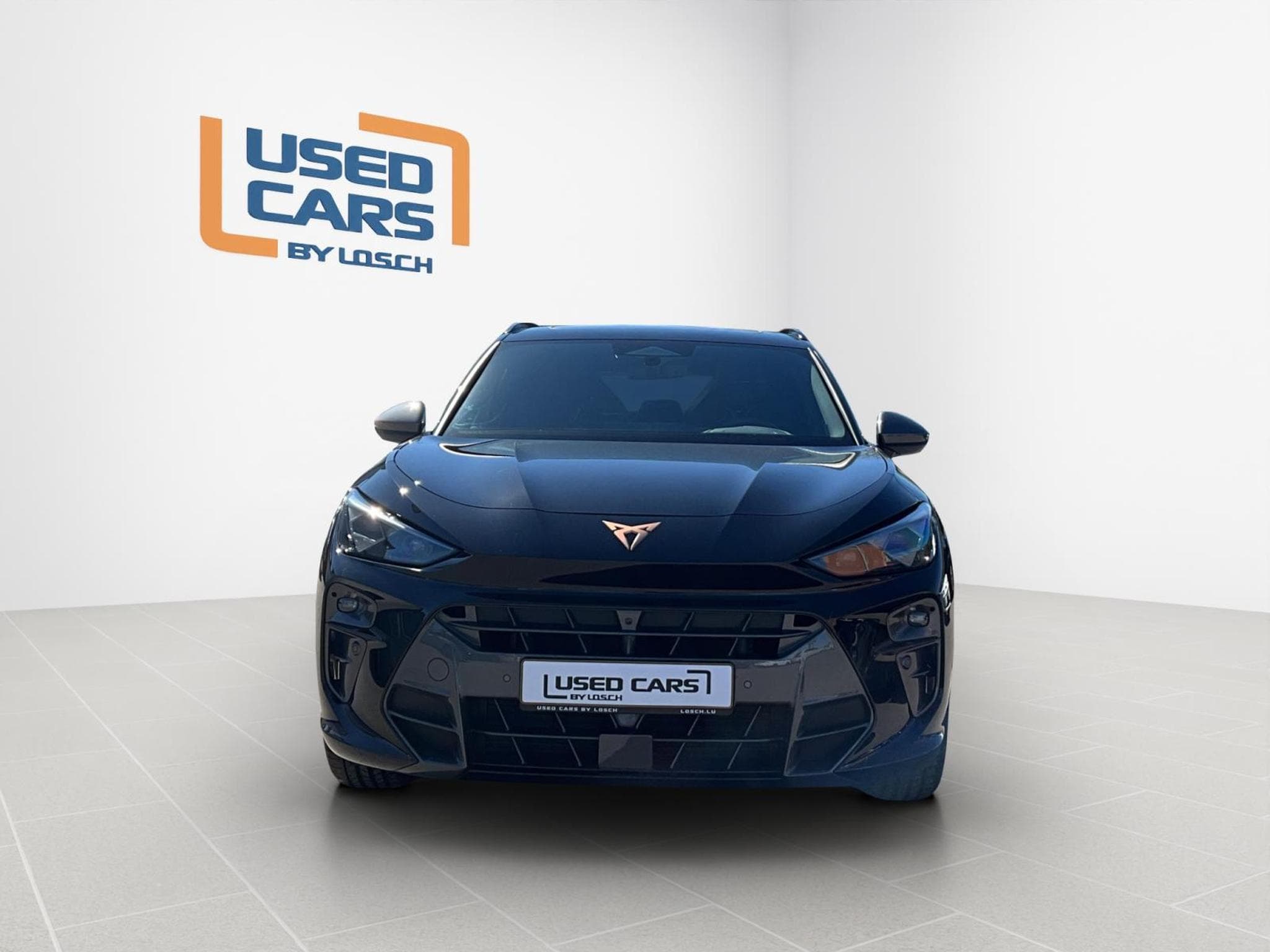 Cupra Terramar DSG+AHK+Digital-Drive+Pure-Perf.+Skyline+Int.Drive (2025) - Foto 3