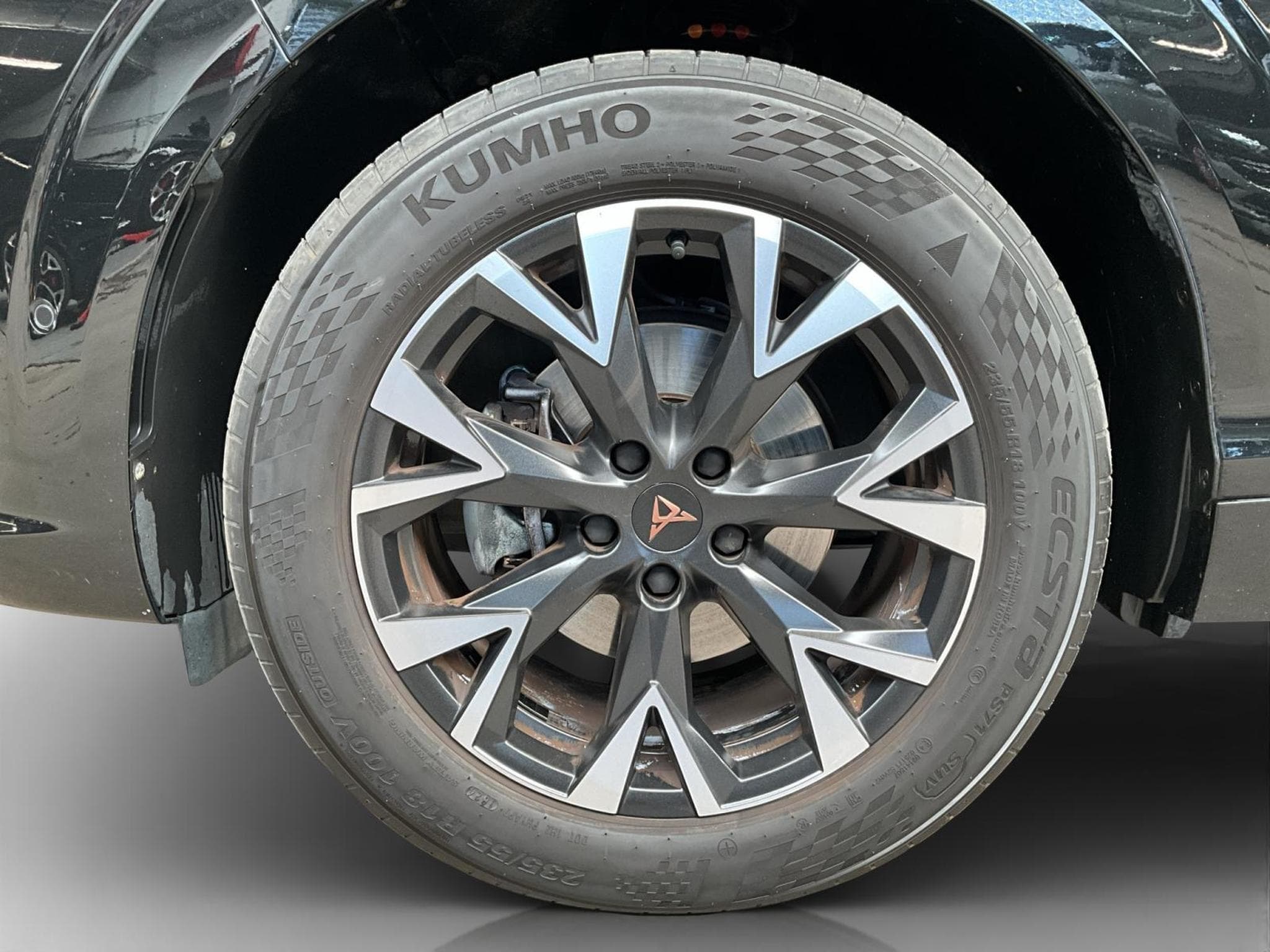 Cupra Terramar DSG+AHK+Digital-Drive+Pure-Perf.+Skyline+Int.Drive (2025) - Foto 8