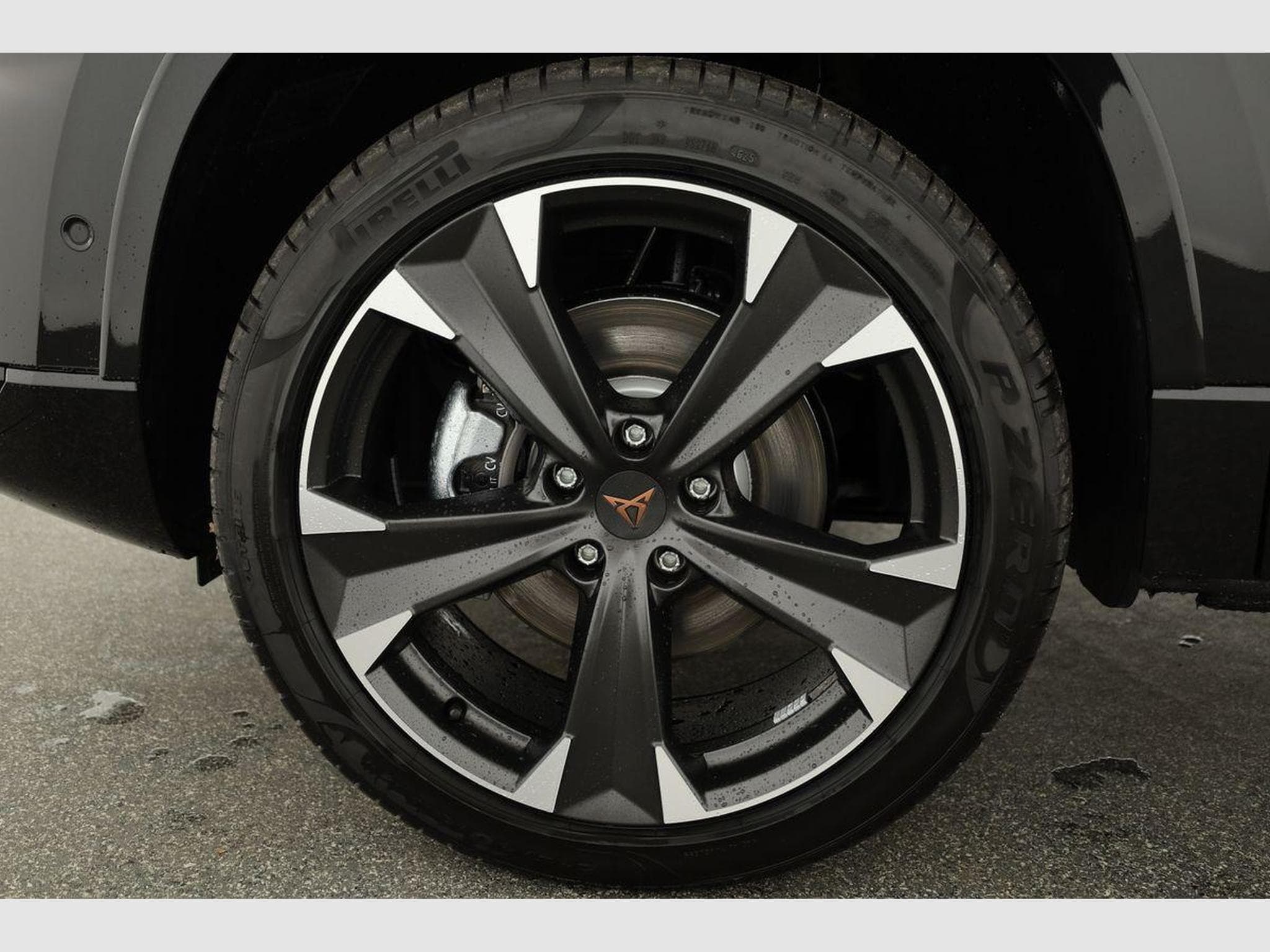 Cupra Ateca Basis 4Drive (2026) - Photo 16