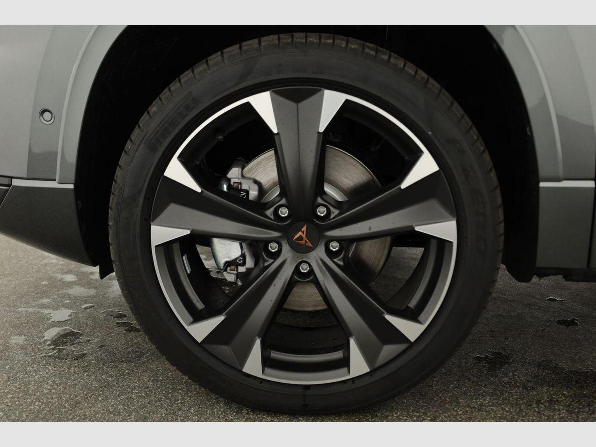 Cupra Ateca Basis 4Drive (2026) - Photo 16