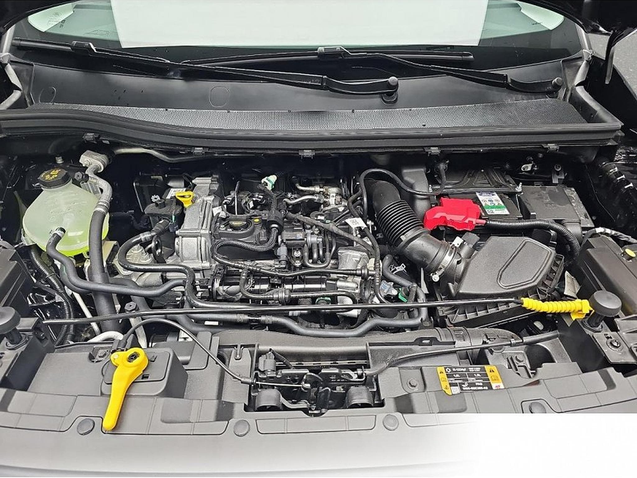 Ford Tourneo (2026) - Photo 14