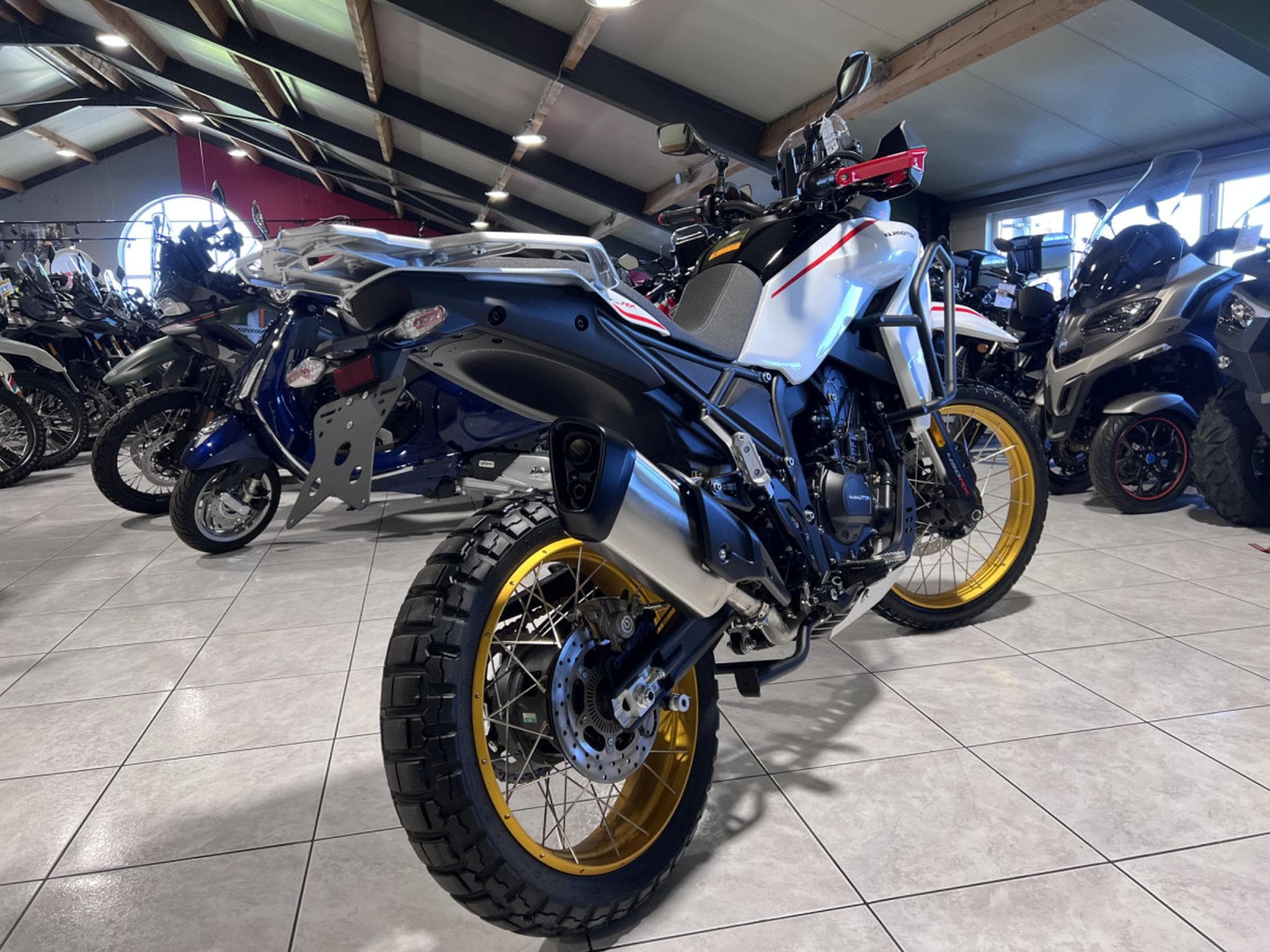 QJmotor SRT 450 RX RX (2026) - Foto 3