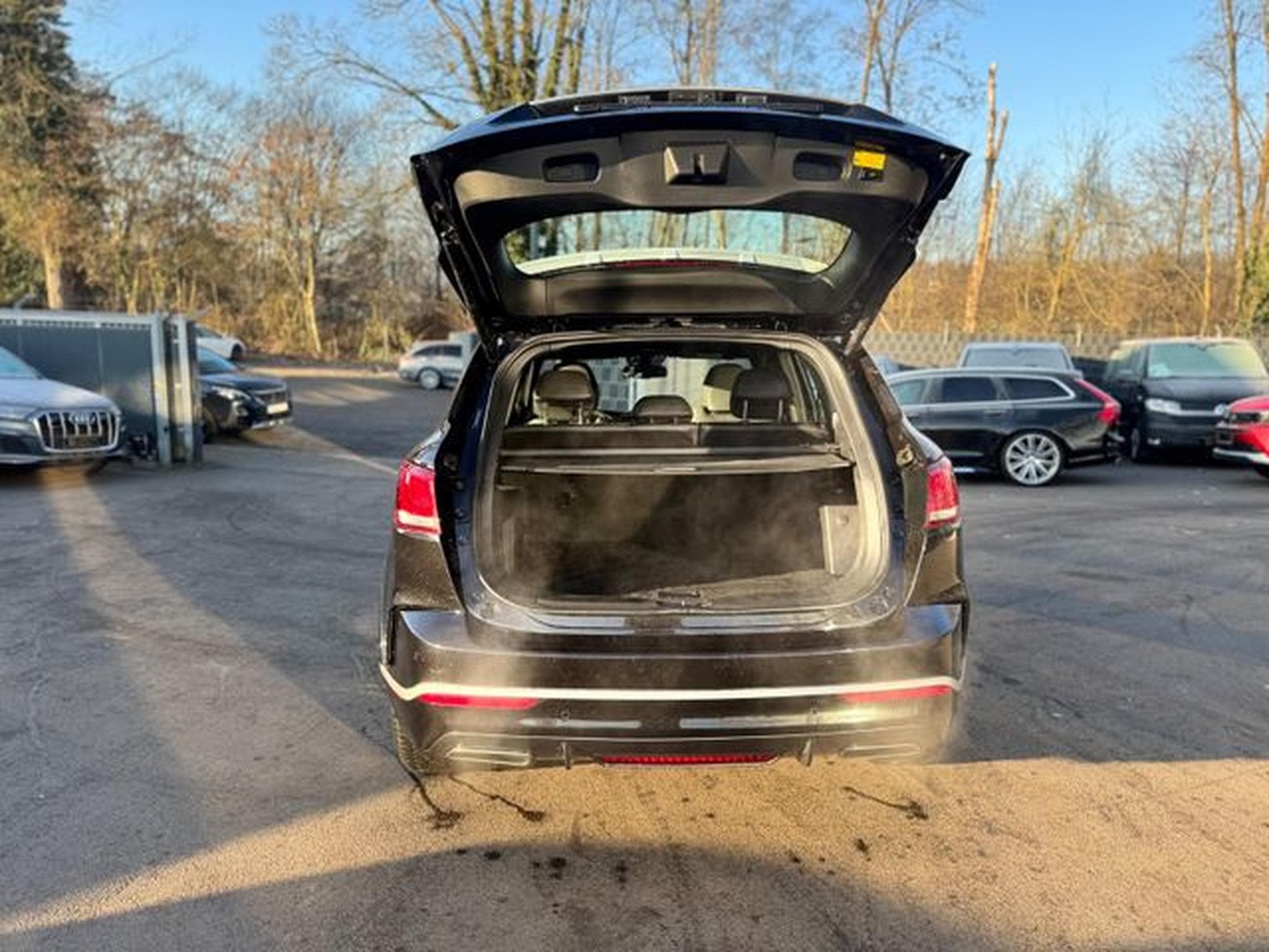 Borgward Other BX7 TS LIMITED EDITION*PANO*LEDER*360 KAMERA*TOP (2021) - Photo 12