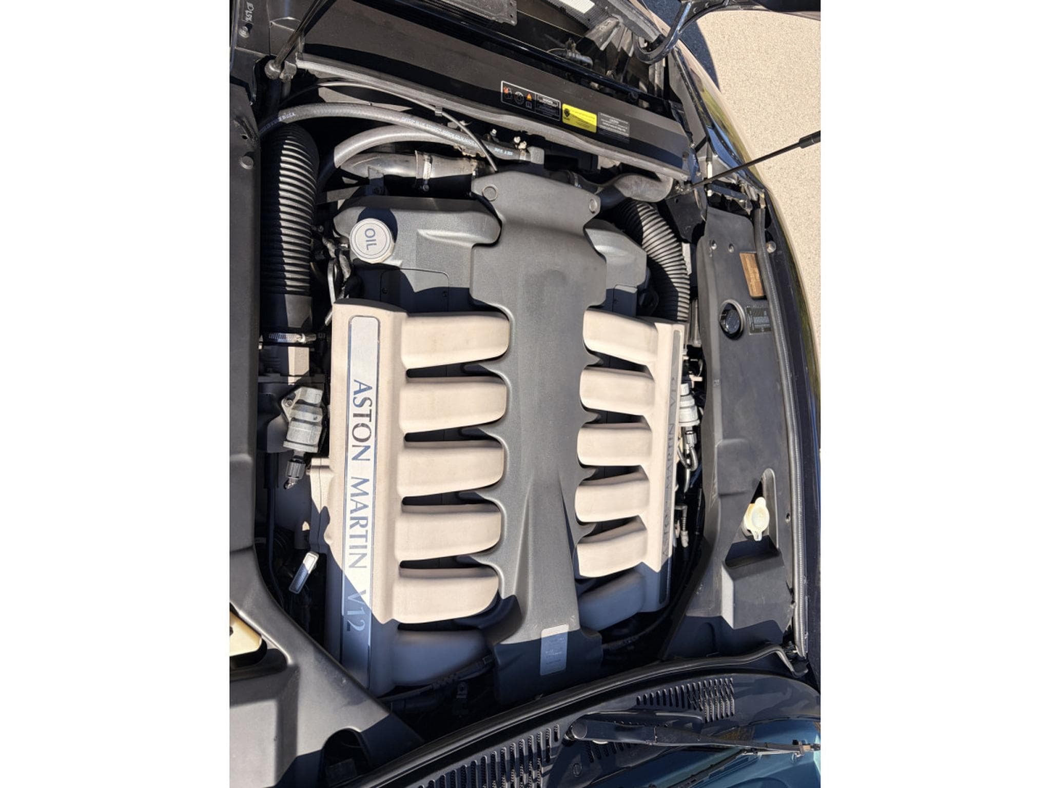 Aston-Martin DB7 V12 6.0 (2002) - Photo 14