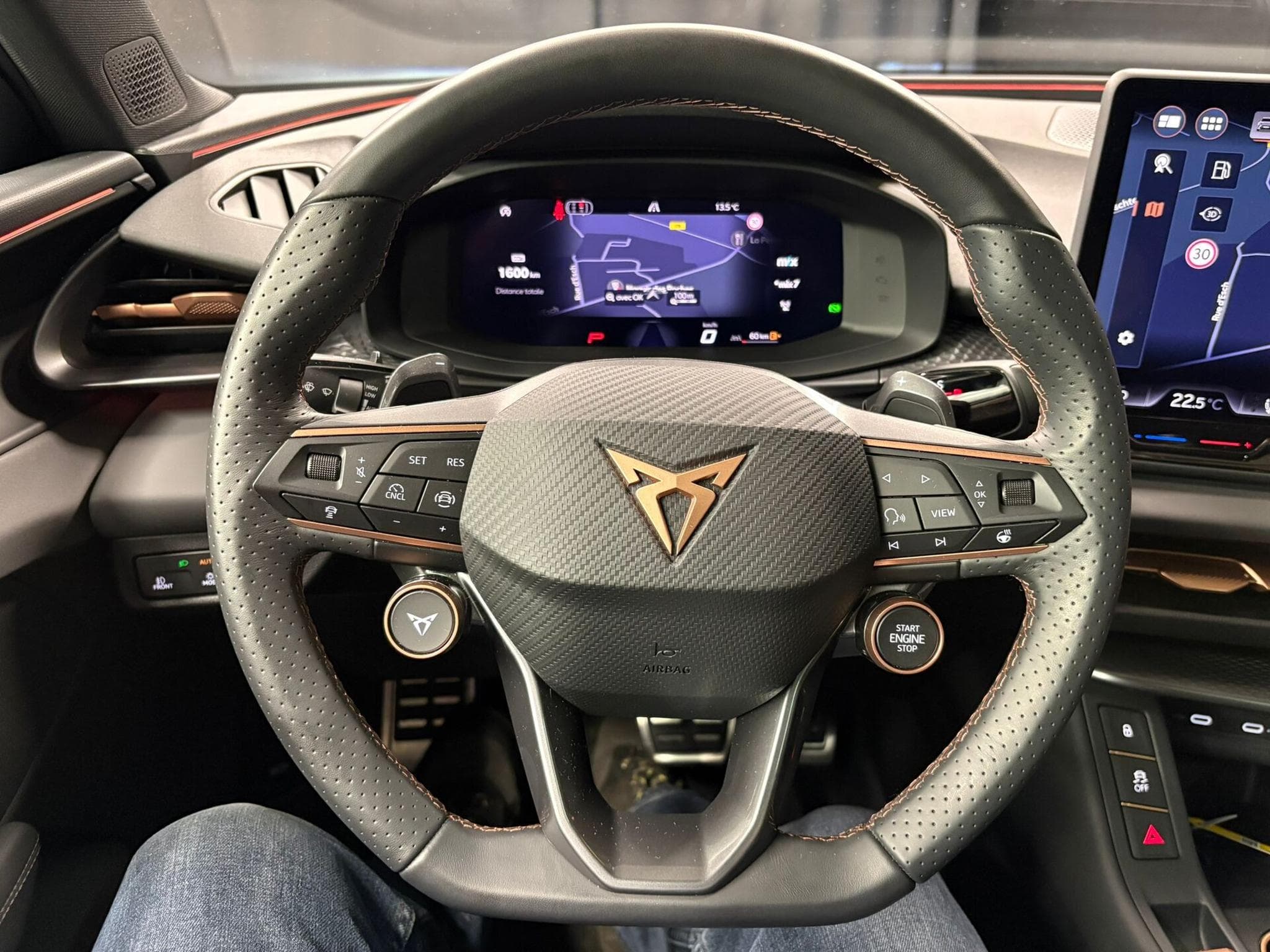 Cupra Terramar VZ 2.0 TSI 265cv 4x4 PANO/ATTELAGE/CAM360 (2026) - Photo 10