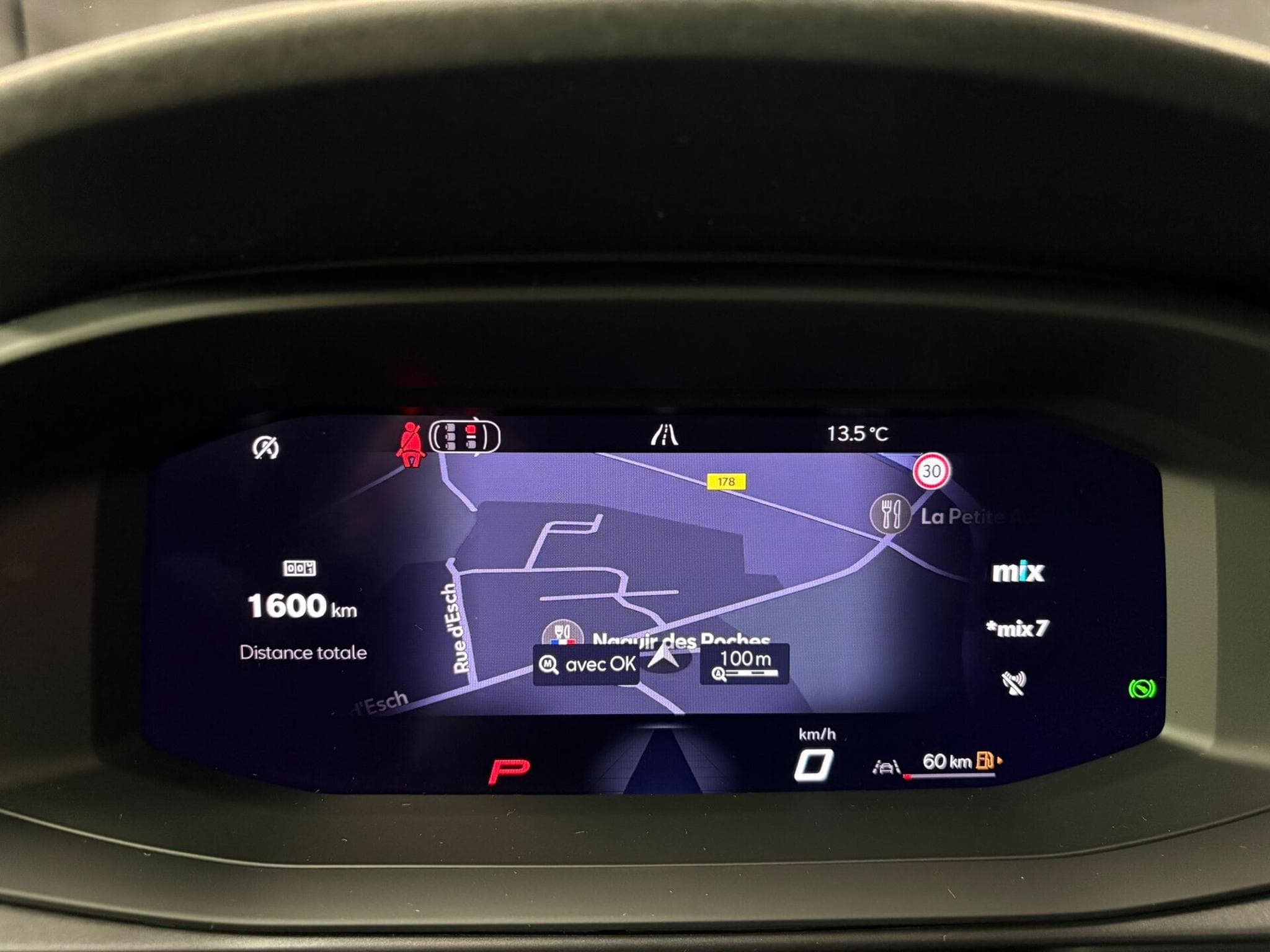 Cupra Terramar VZ 2.0 TSI 265cv 4x4 PANO/ATTELAGE/CAM360 (2026) - Photo 12