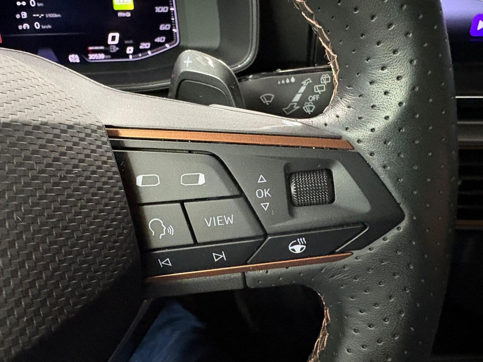 Cupra Formentor PHEV 245cv CAMERA360/CUIR/MATRIX/BeatsAudio (2023) - Photo 13