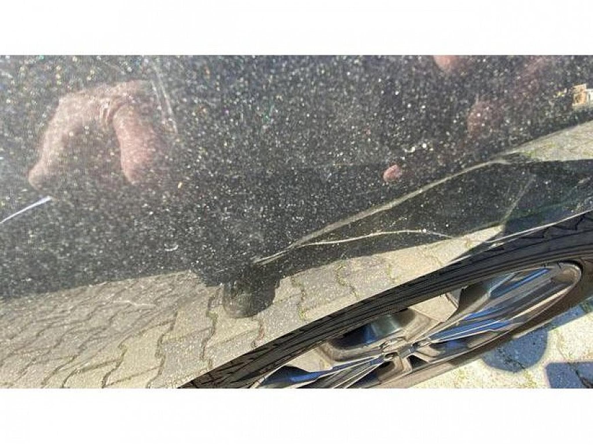Ford Focus (2026) - Photo 10