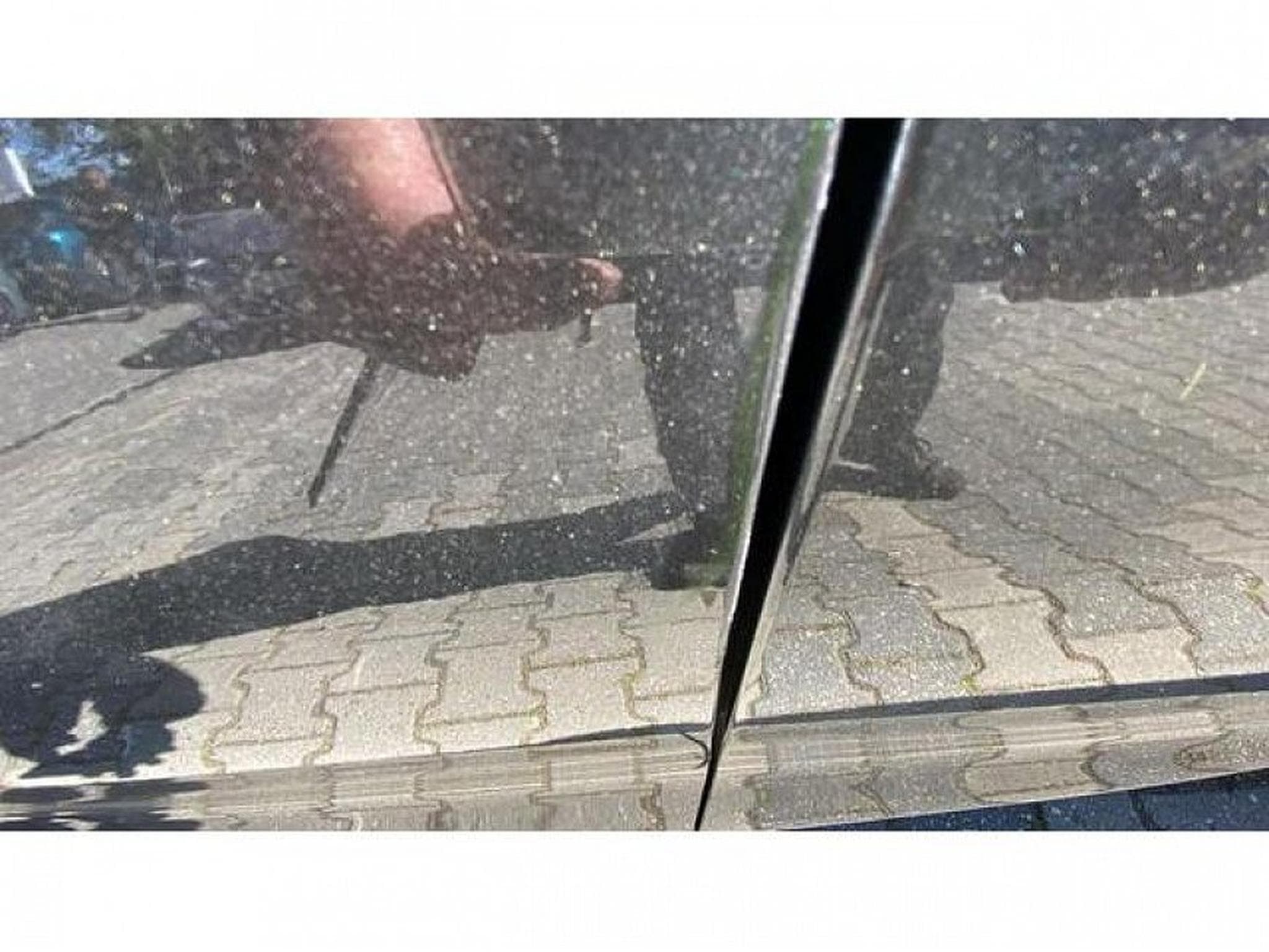 Ford Focus (2026) - Photo 7