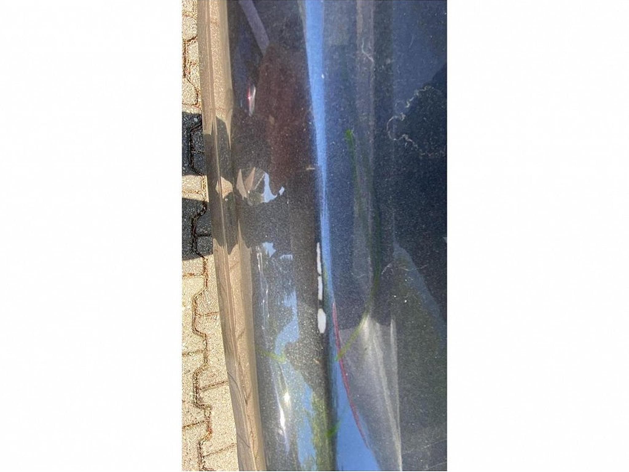Ford Focus (2026) - Photo 8