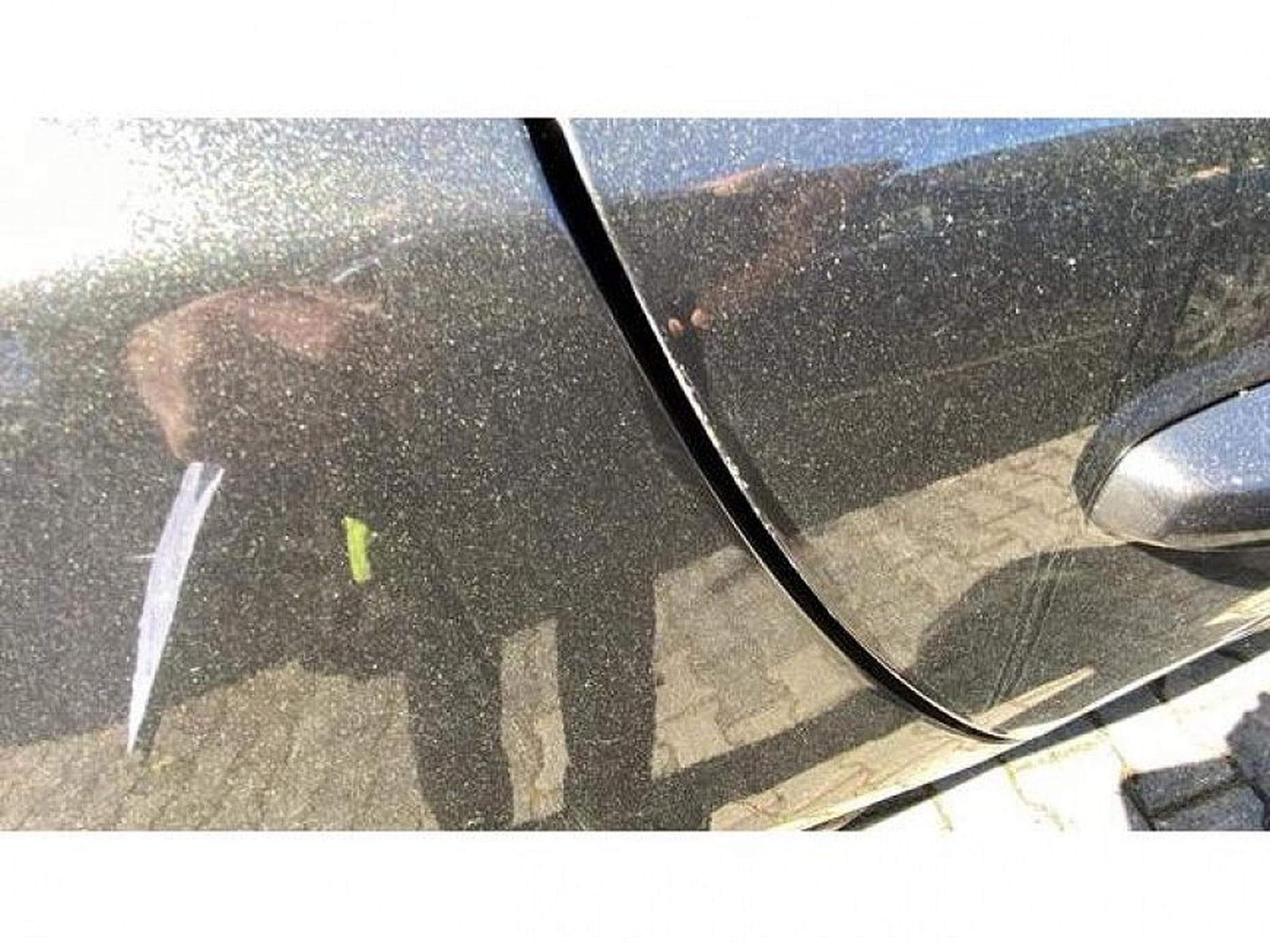 Ford Focus (2026) - Photo 9