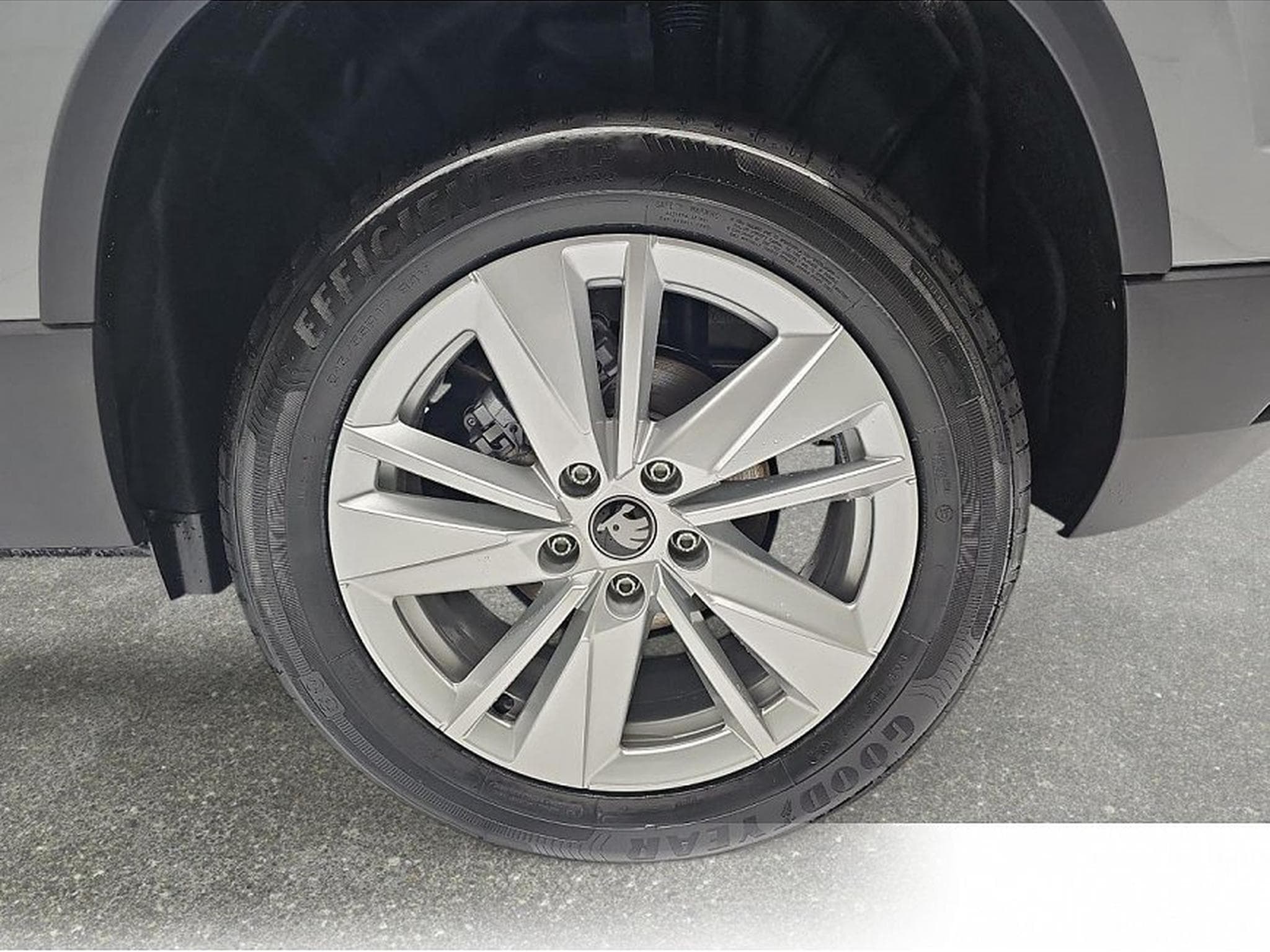 Skoda Karoq (2026) - Foto 5