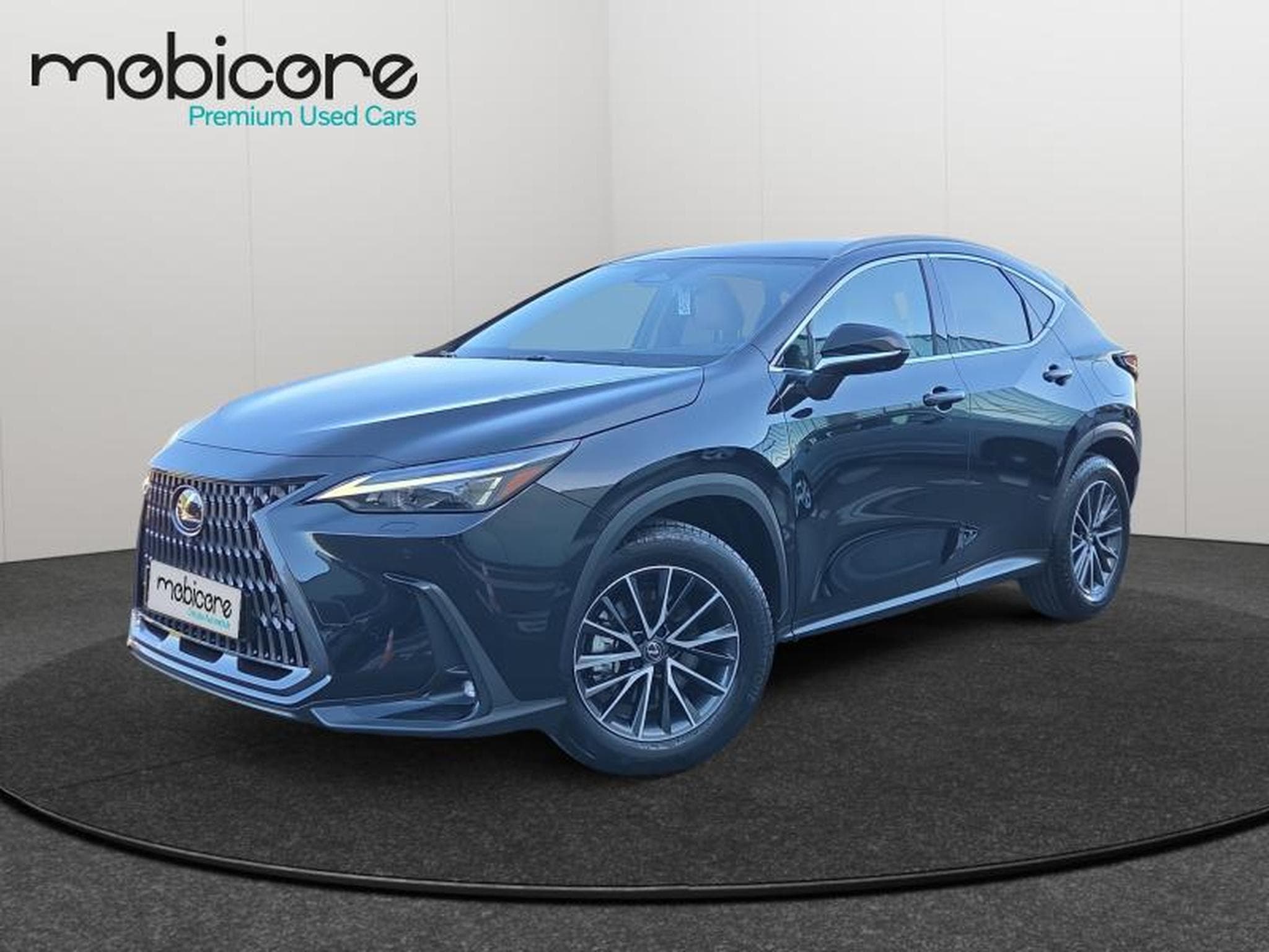 Lexus NX Executive Line / Hybrid (2025) - Photo 1