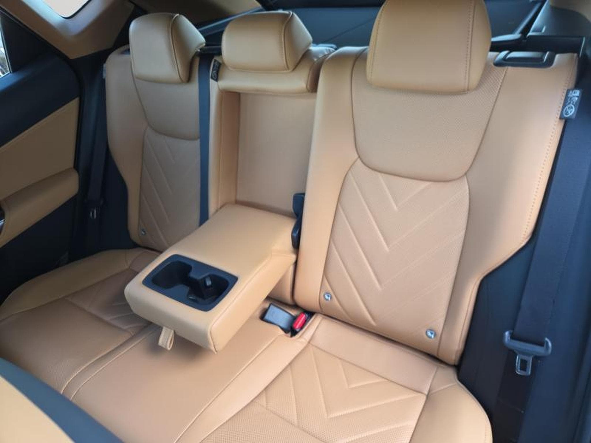 Lexus NX Executive Line / Hybrid (2025) - Photo 11