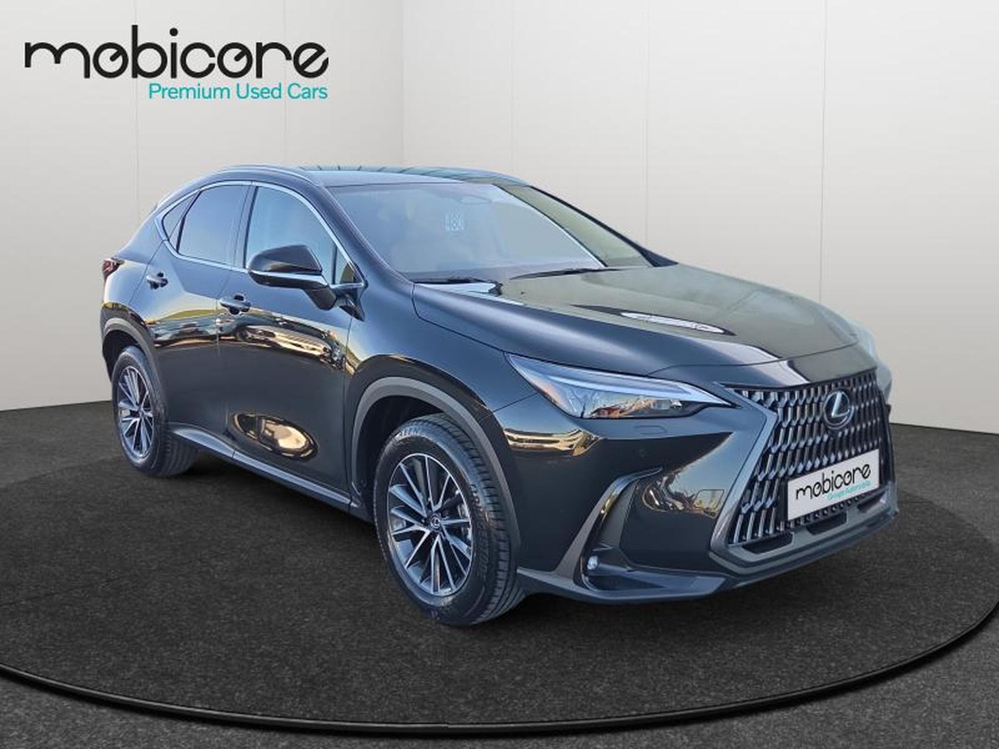 Lexus NX Executive Line / Hybrid (2025) - Photo 8