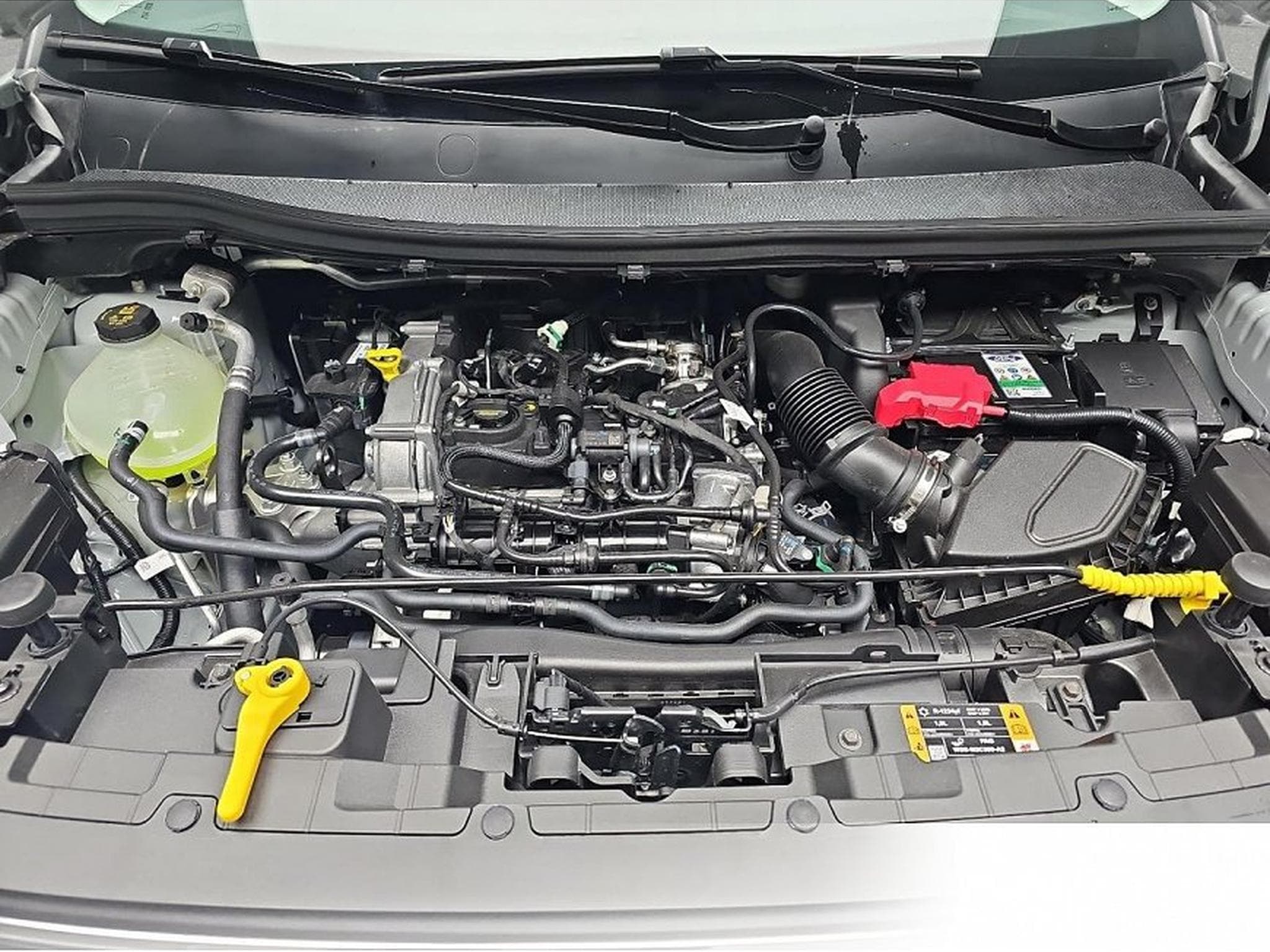 Ford Tourneo (2026) - Foto 14