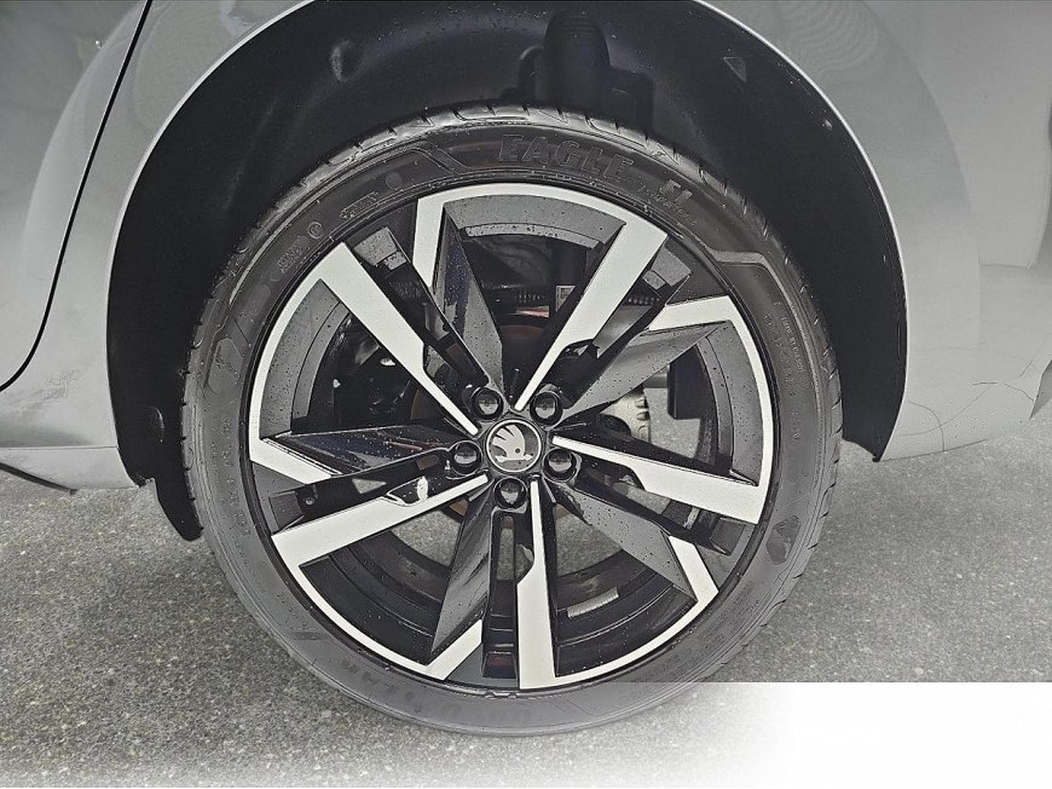 Skoda Kamiq (2026) - Foto 5