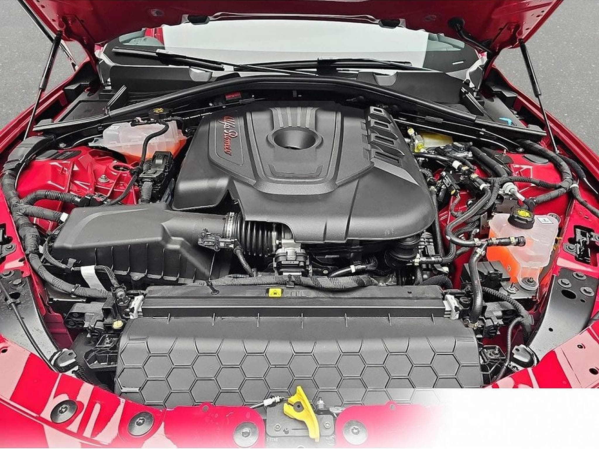 Alfa-Romeo Giulia (2026) - Photo 14