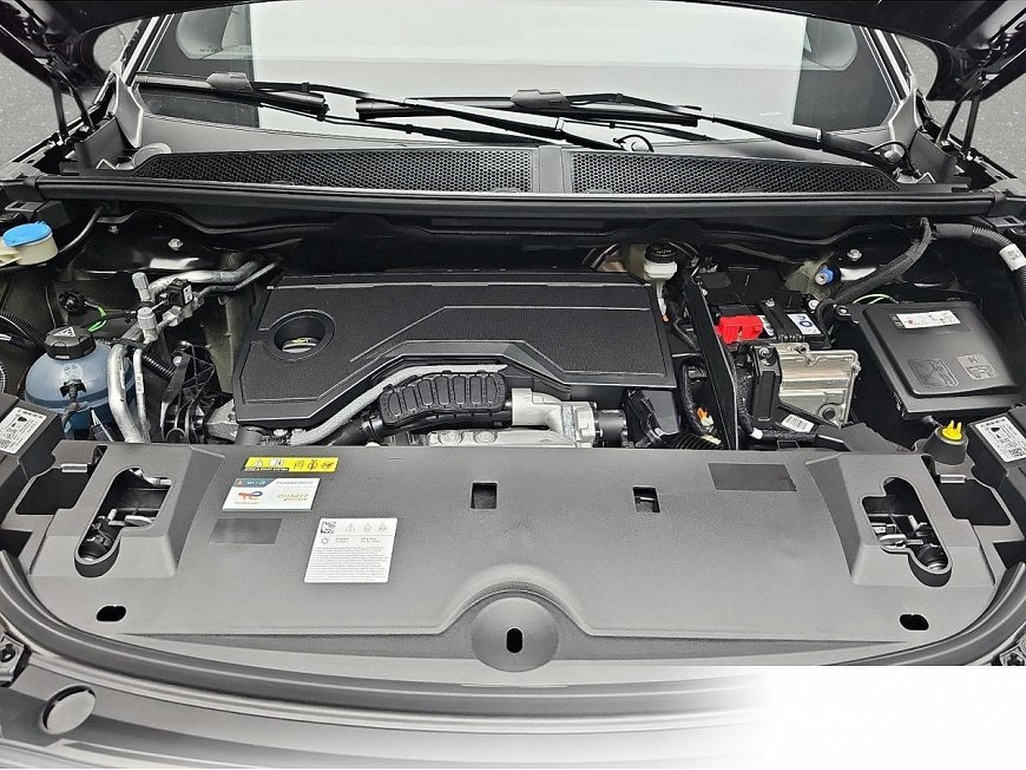 Peugeot 5008 (2026) - Foto 14