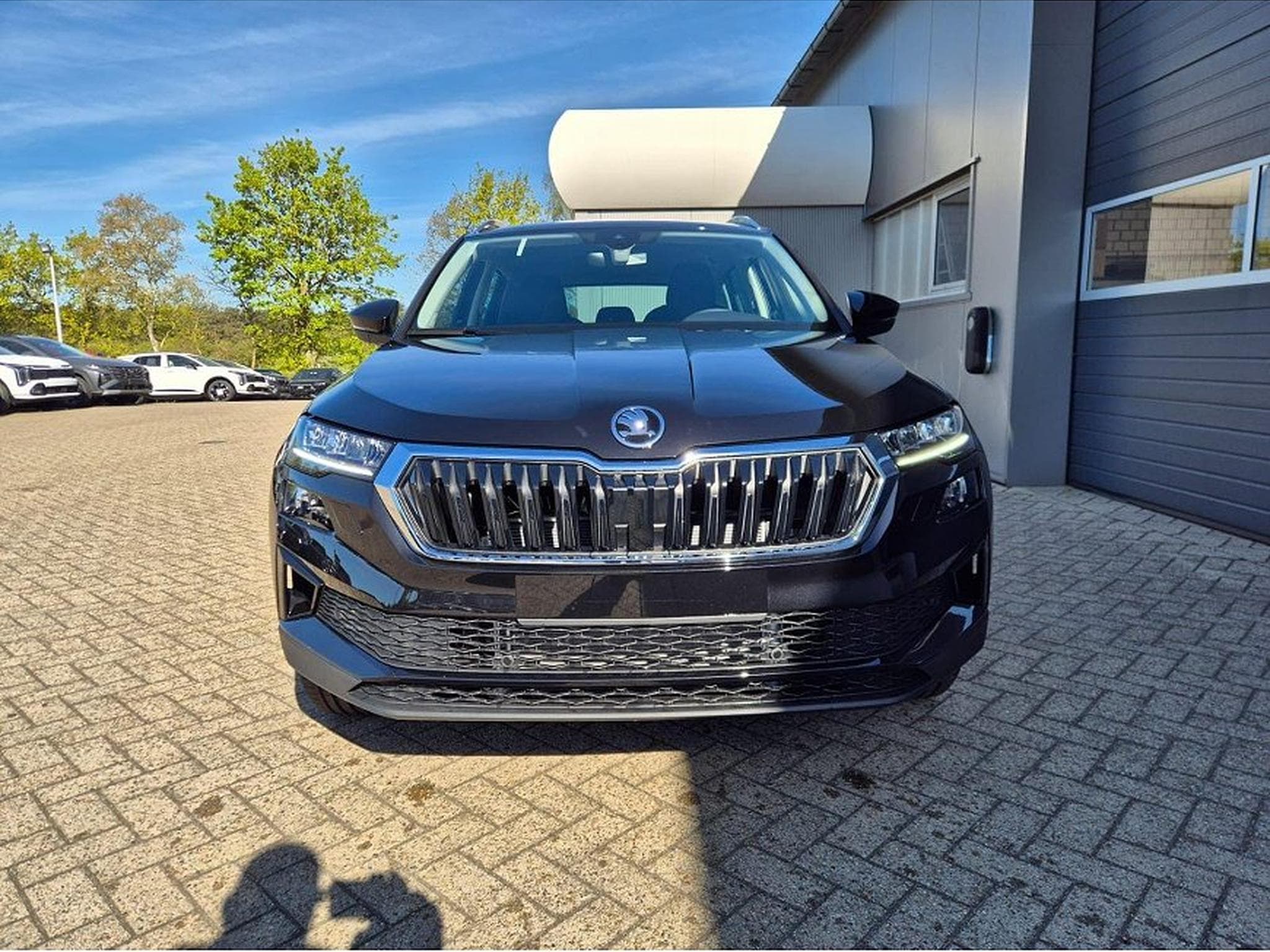 Skoda Karoq (2026) - Foto 8