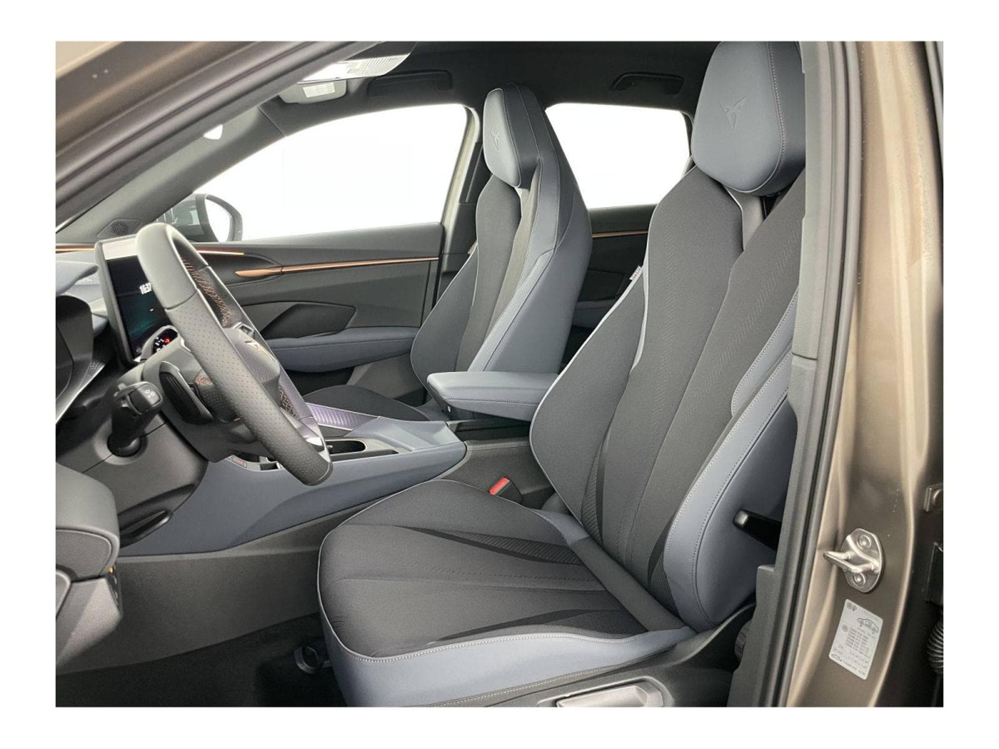 Cupra Terramar 2.0 TSI DSG 265 VZ 4Drive (2025) - Photo 9